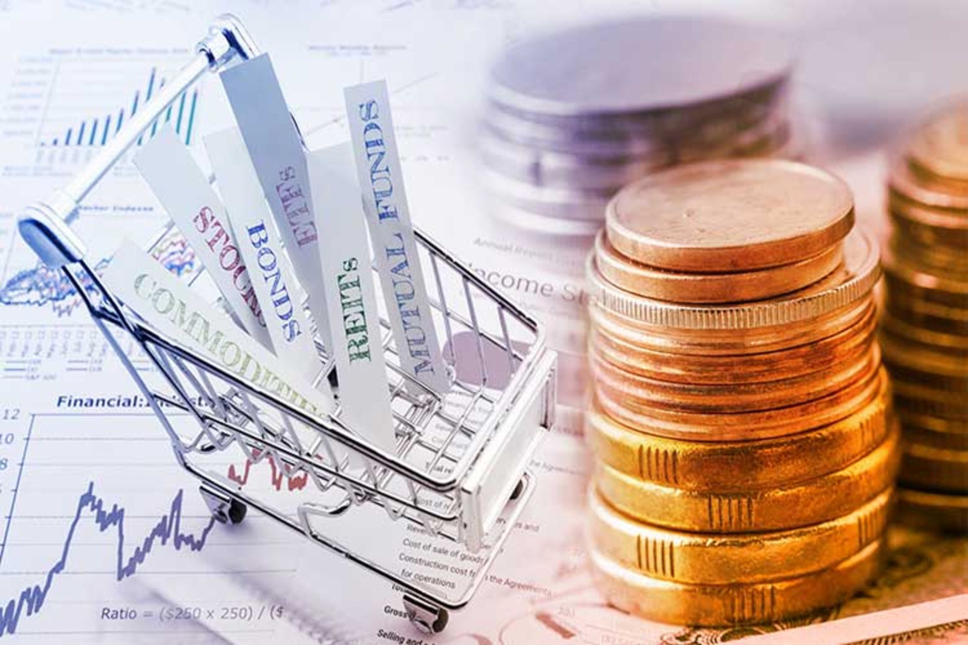 نکاتی قبل از سرمایه گذاری investment