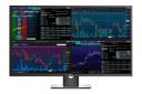 Dell P4317Q