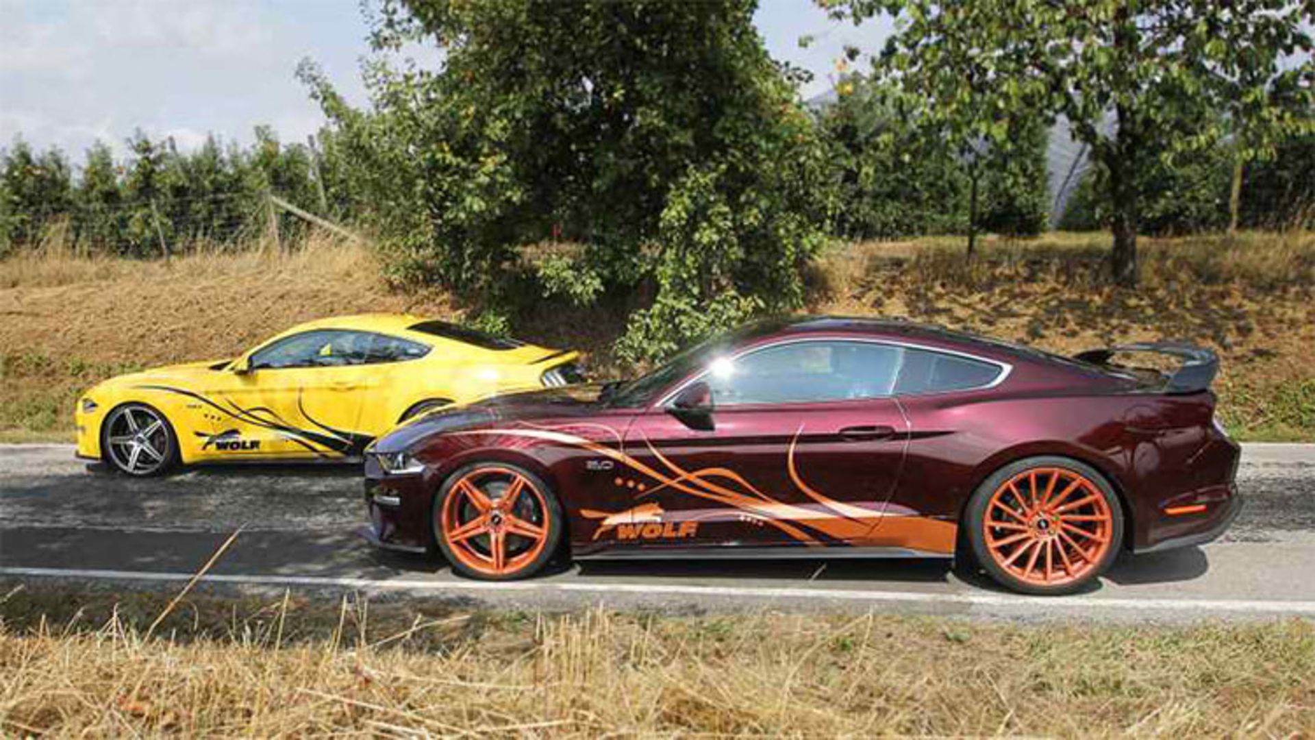 Ford Mustang Wolf Racing