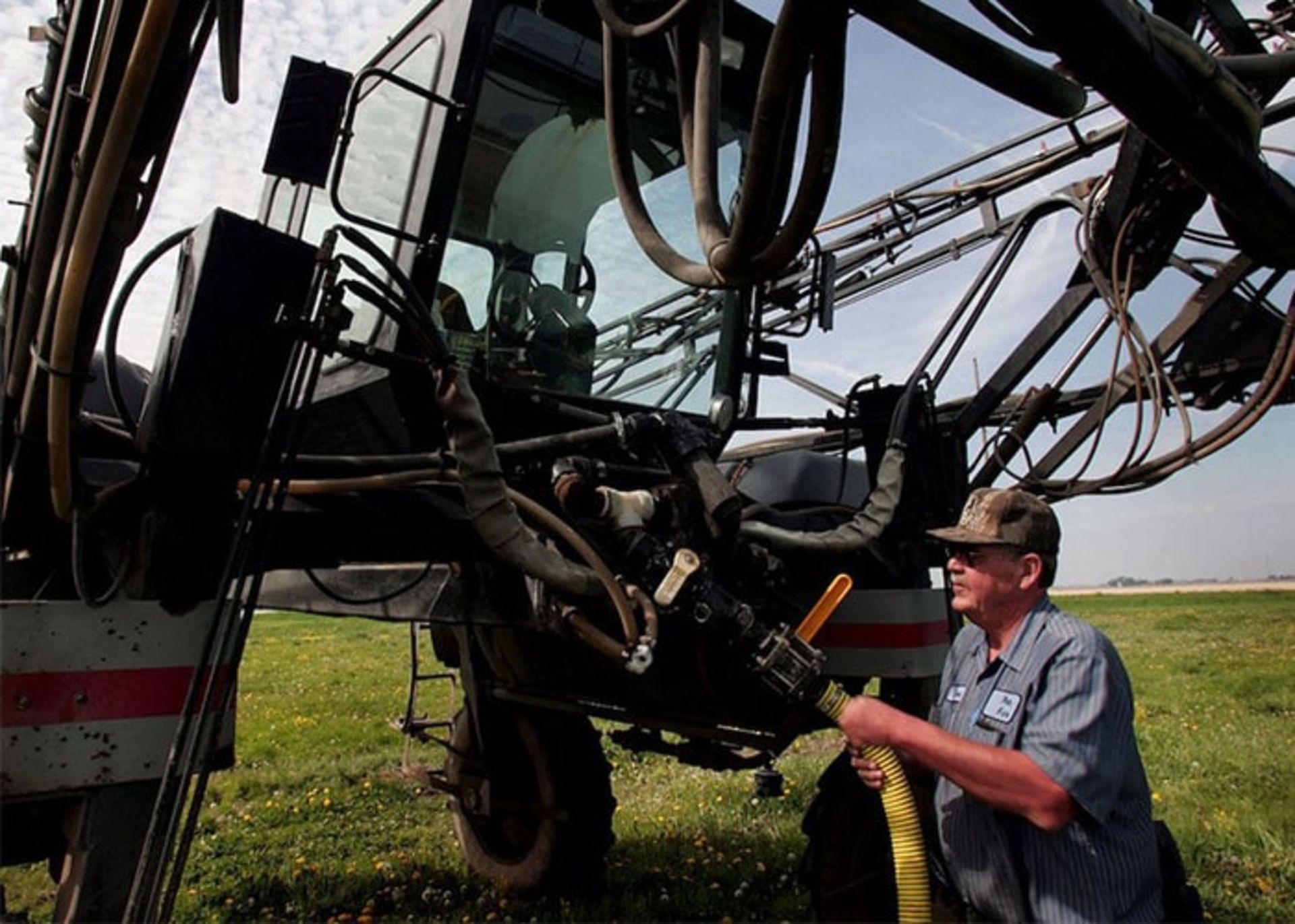 آفت کش ها و سرطان