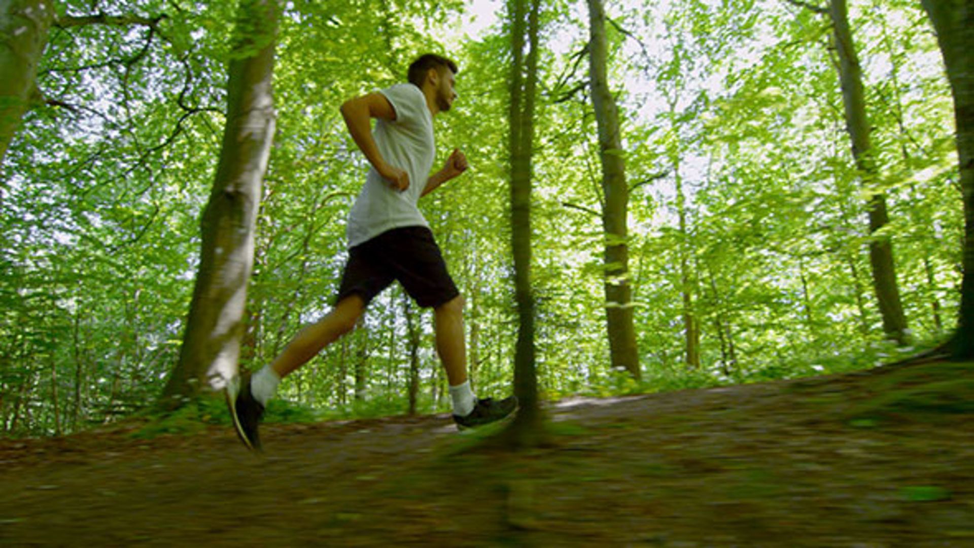 running/کتاب کفش باز