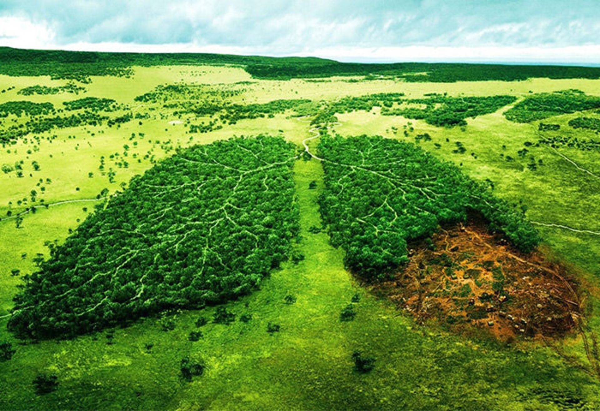 محیط زیست/enviroment