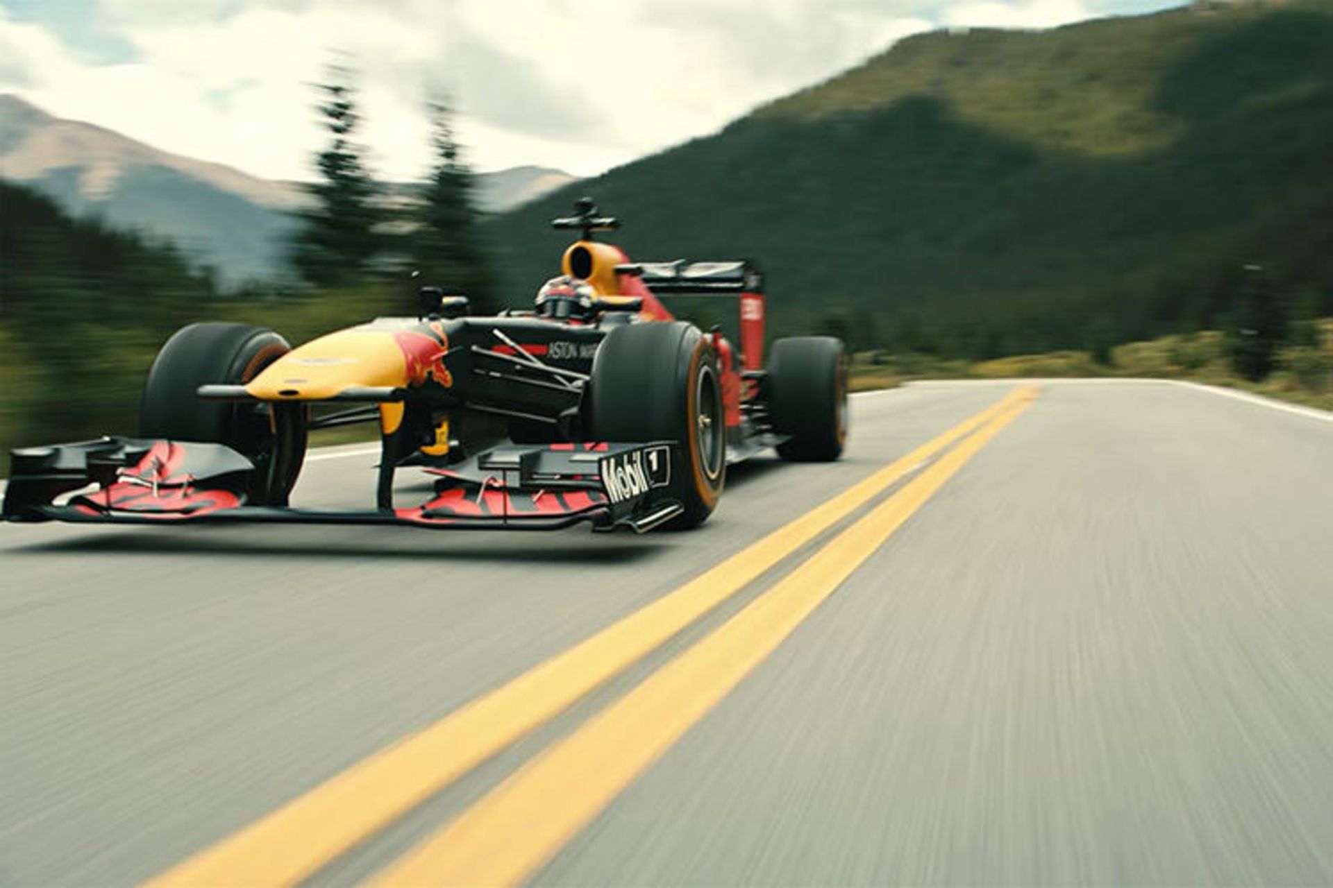 Red Bull Racing Max Verstappen Formula One / ردبول ریسینگ مکس ورشتاپن فرمول یک