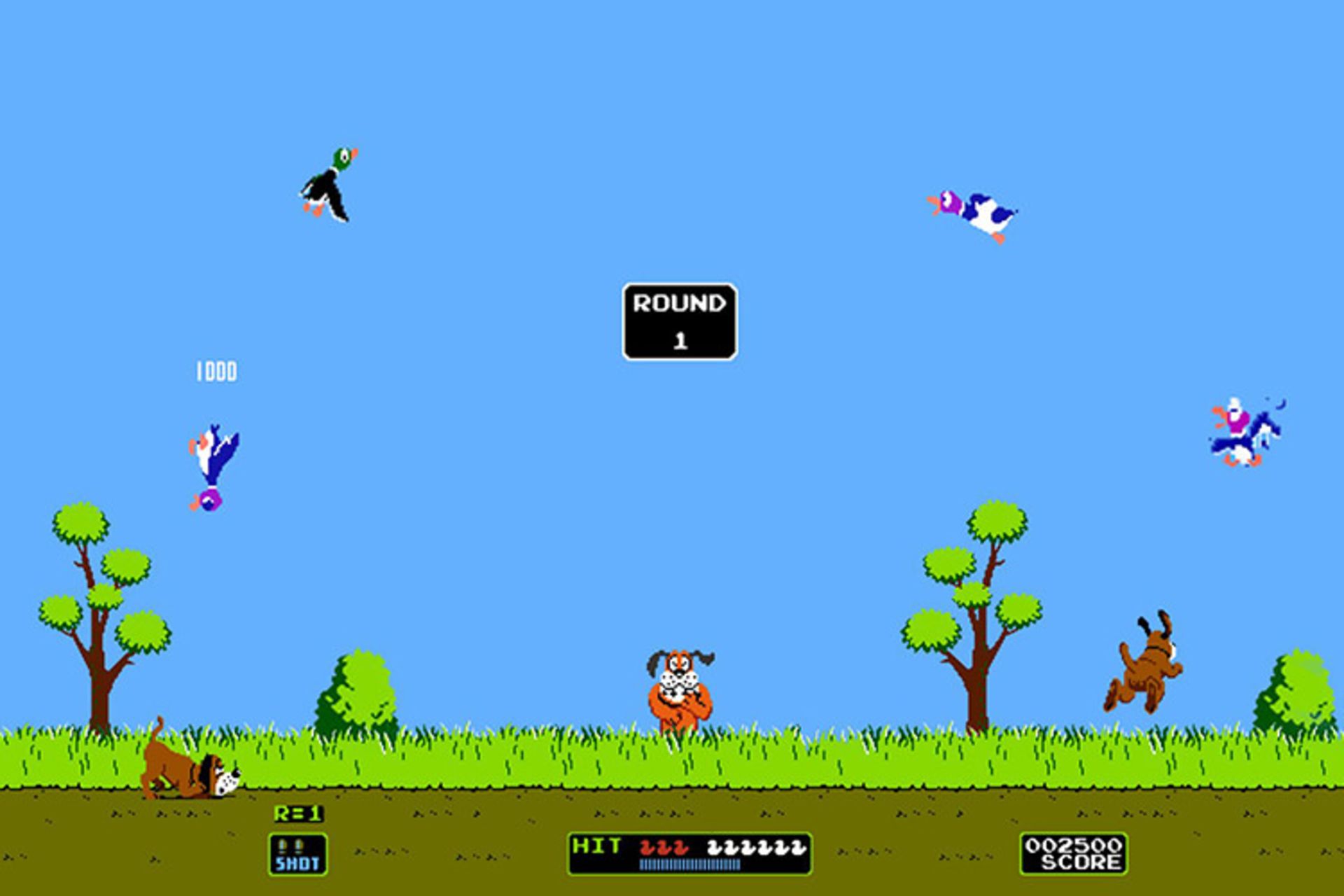 Duck Hunt