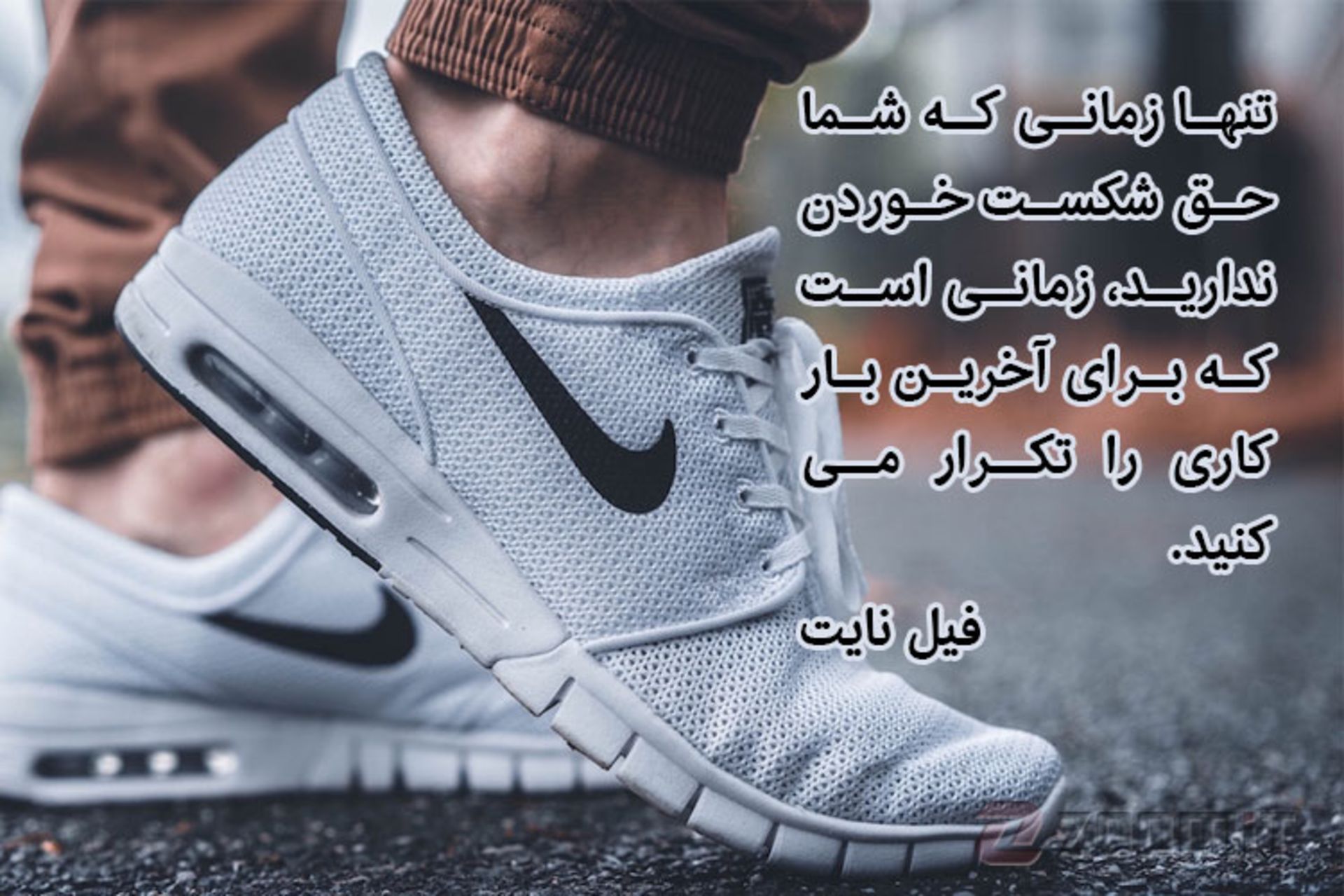 فیل نایت/کتاب کفش باز