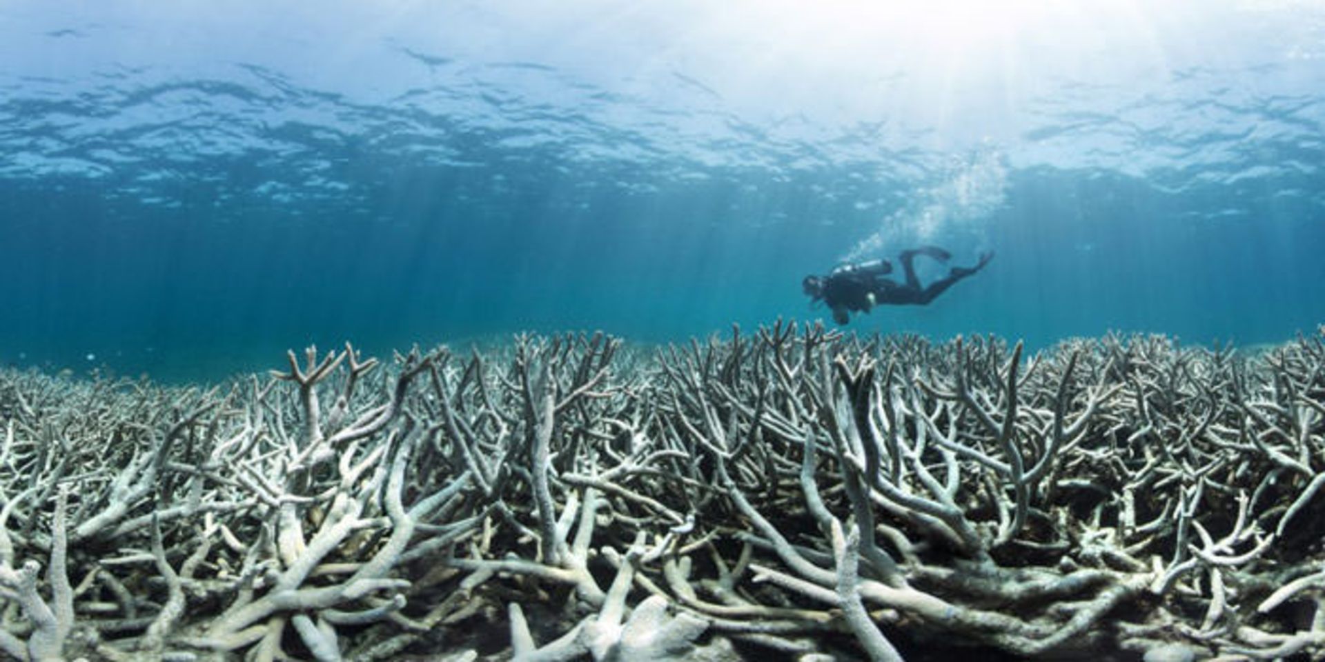 climate change