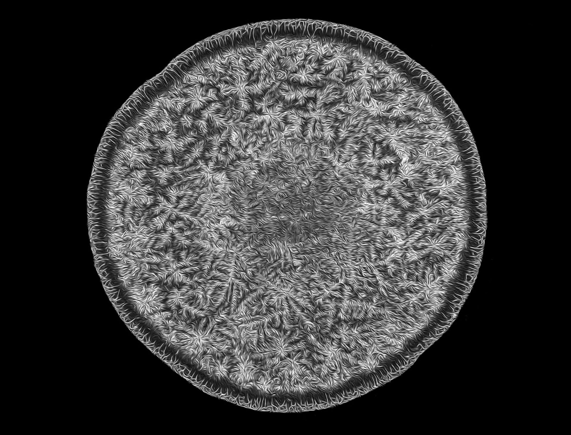 مسابقه عکاسی دنیای کوچک نیکون 2018