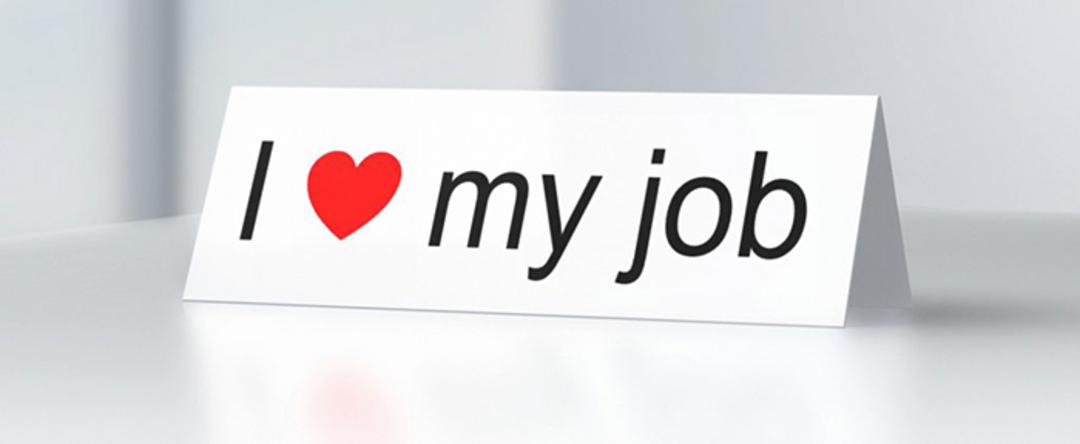 i love my job