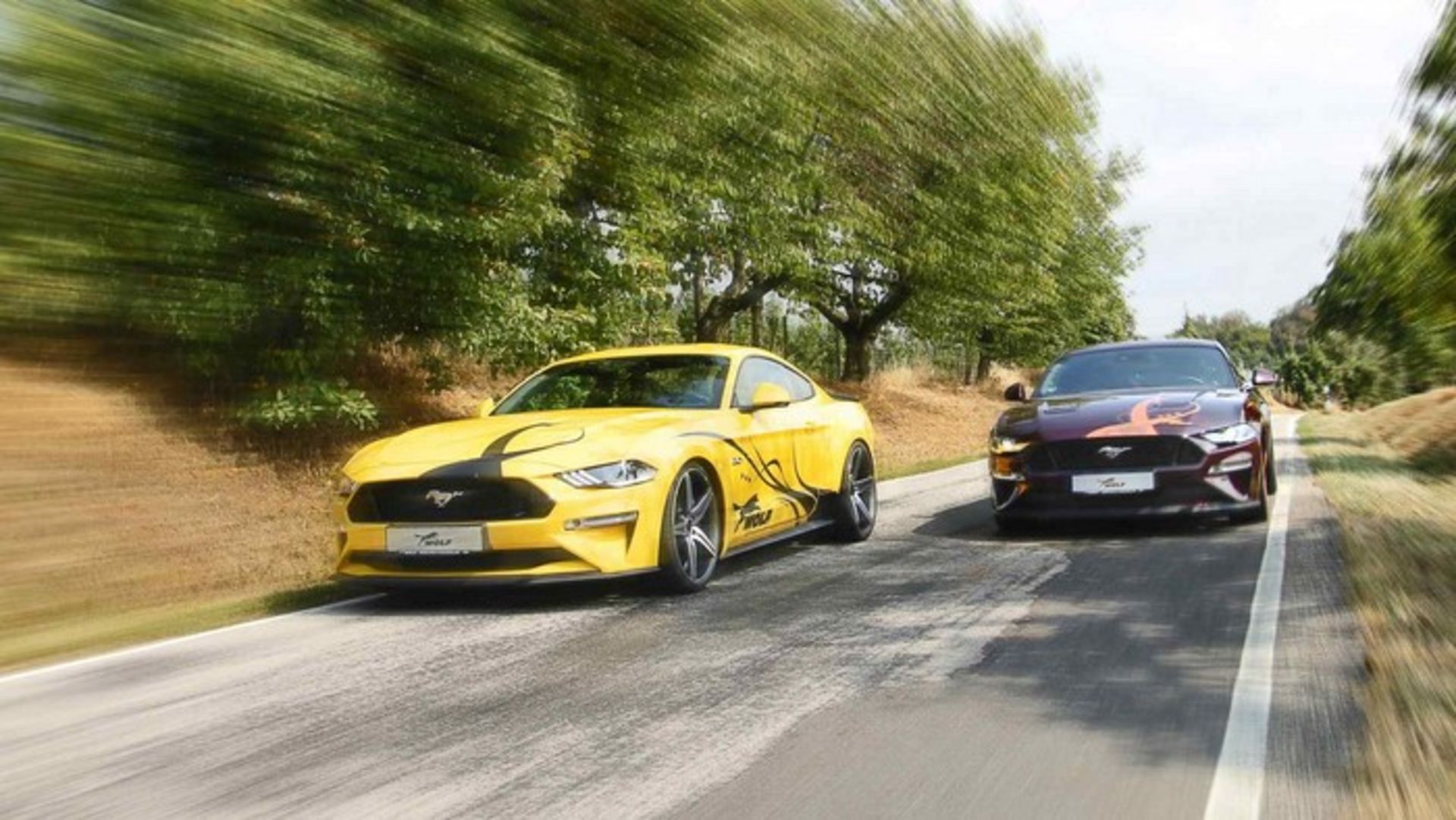 Ford Mustang GT wolf racing 