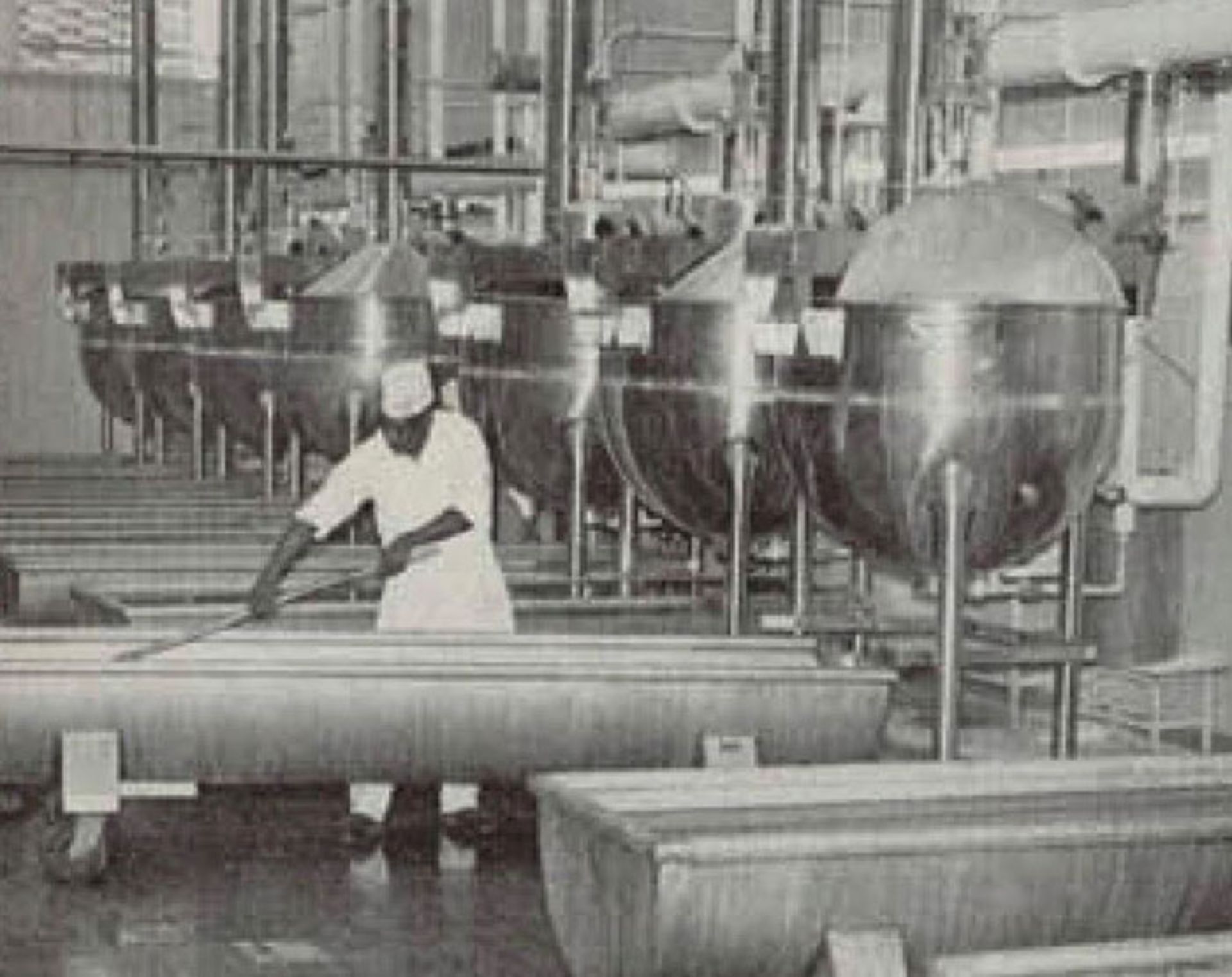 فریتو لی / Frito Lay