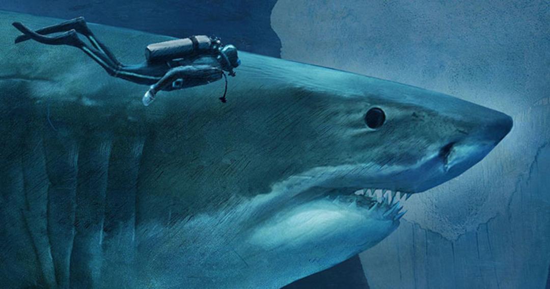 shark/make your bed book