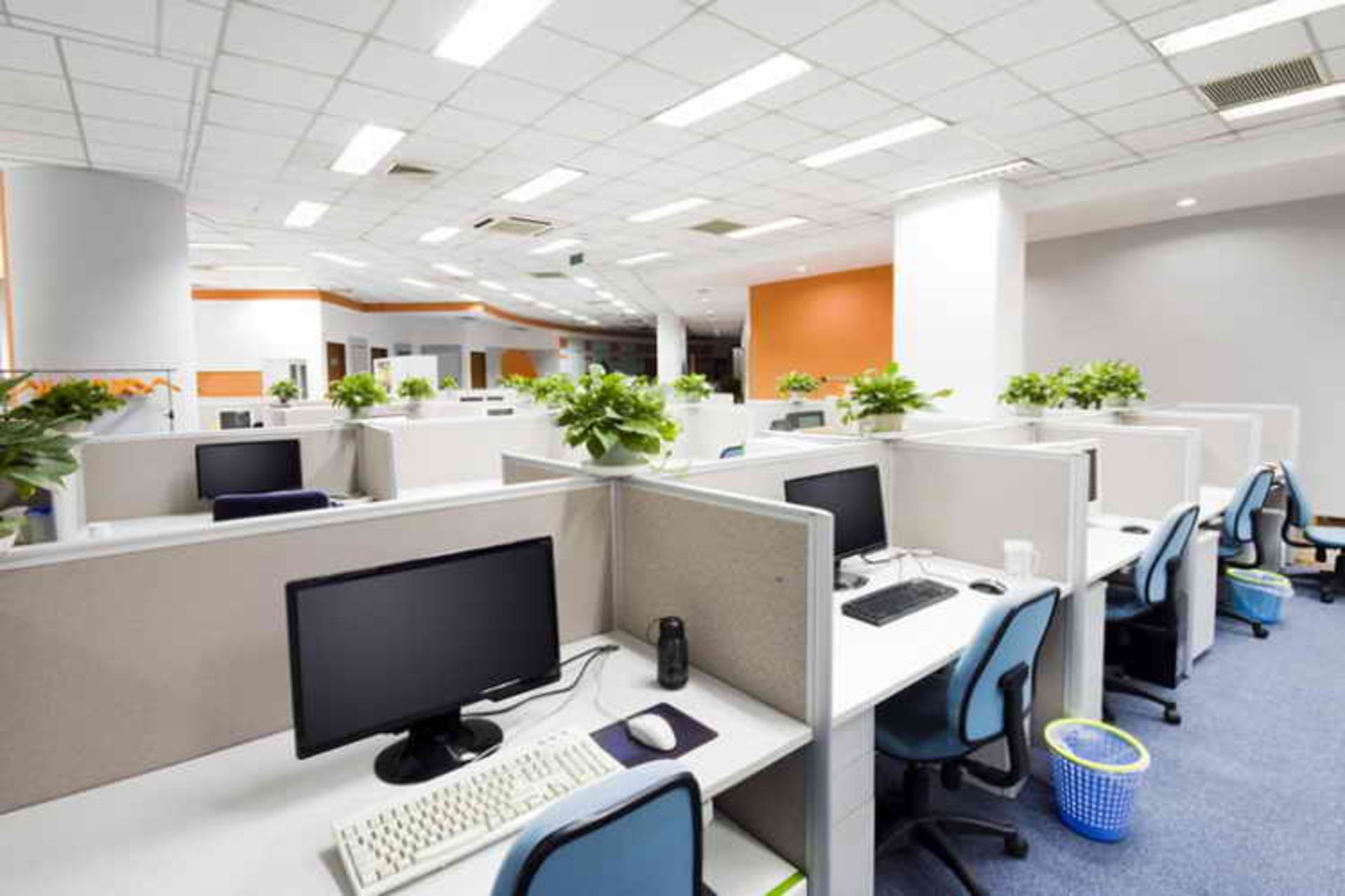 Open Office