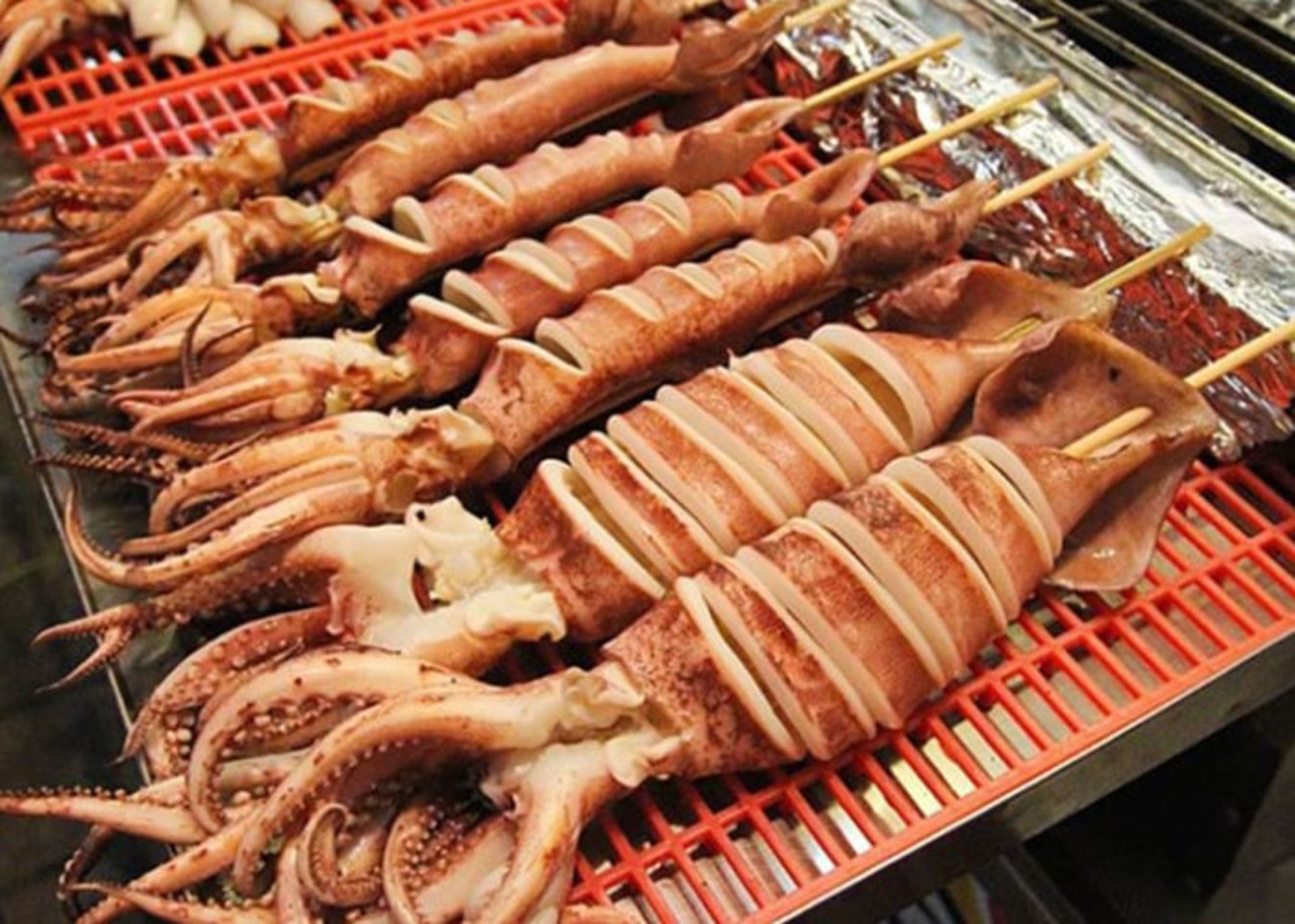 سفالوپود ها -ماهی مرکب