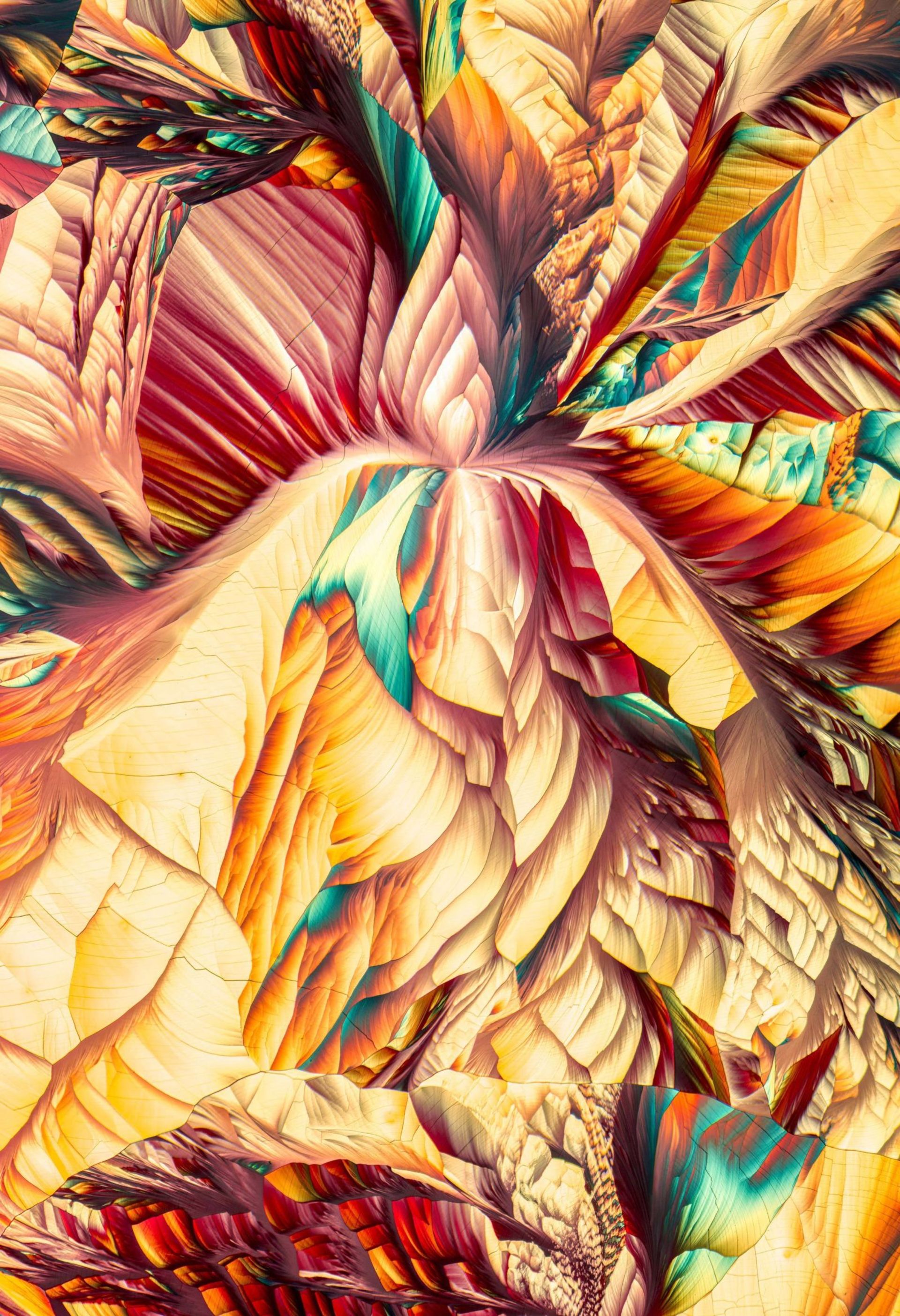 مسابقه عکاسی دنیای کوچک نیکون 2018