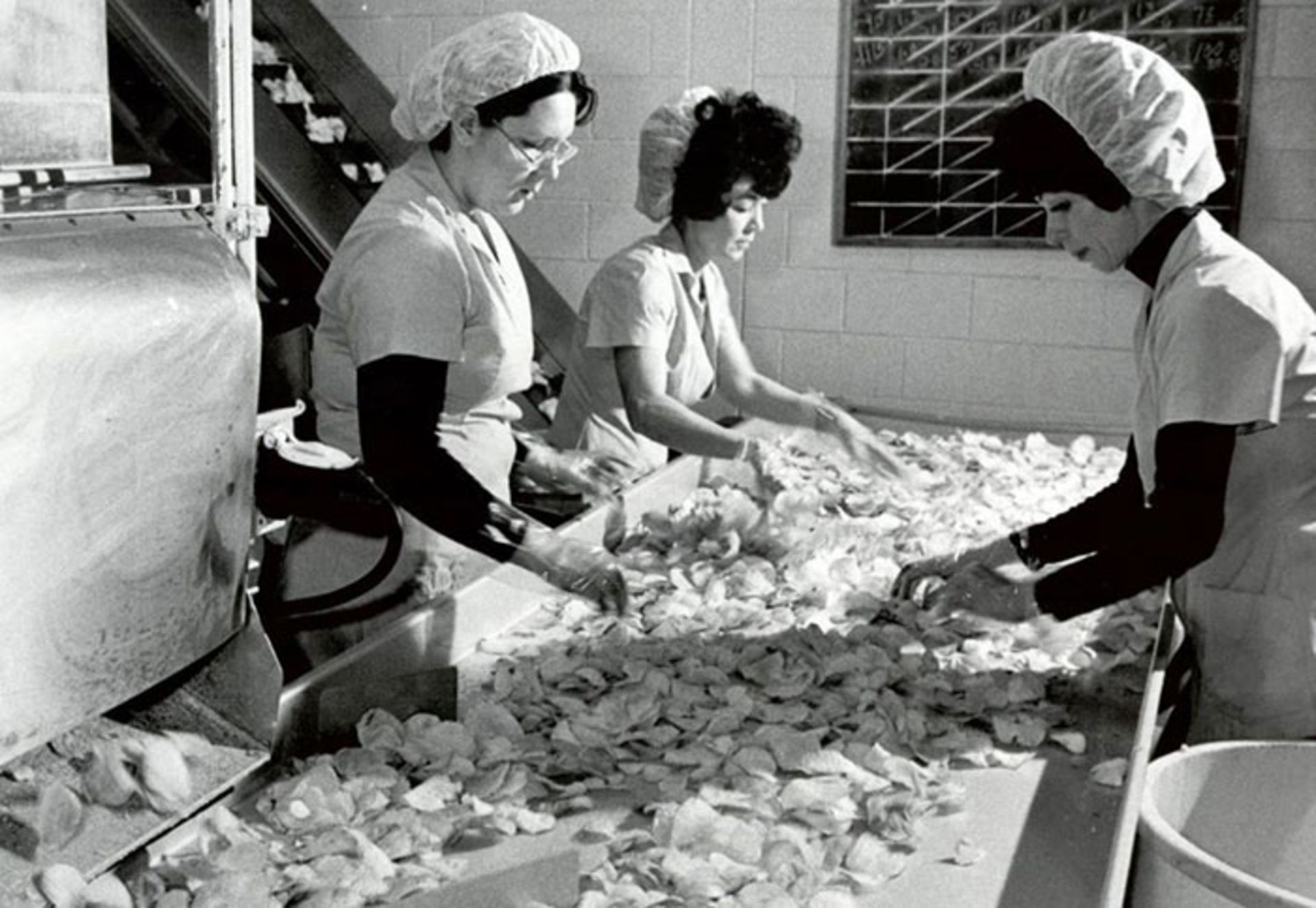 فریتو لی / Frito Lay