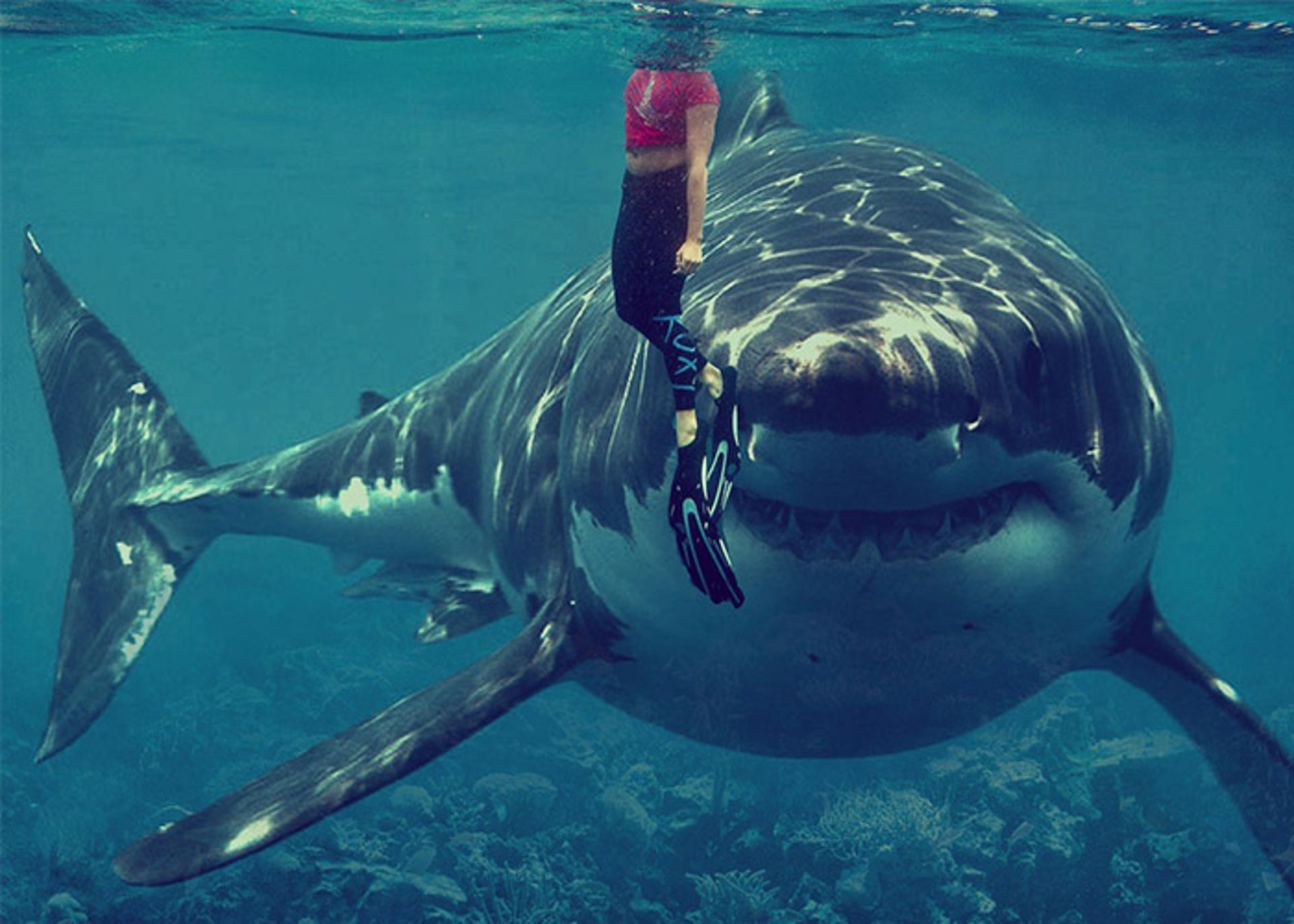 خطر کارآفرینی