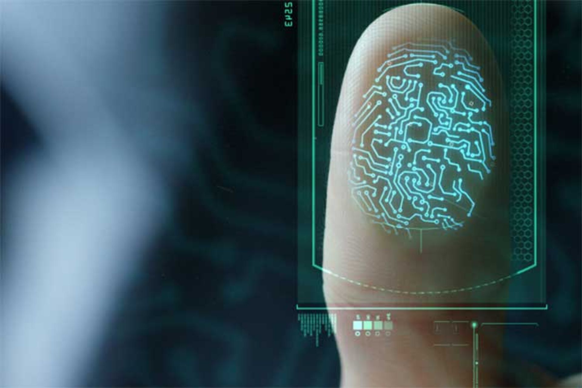 ویزا بیومتریک