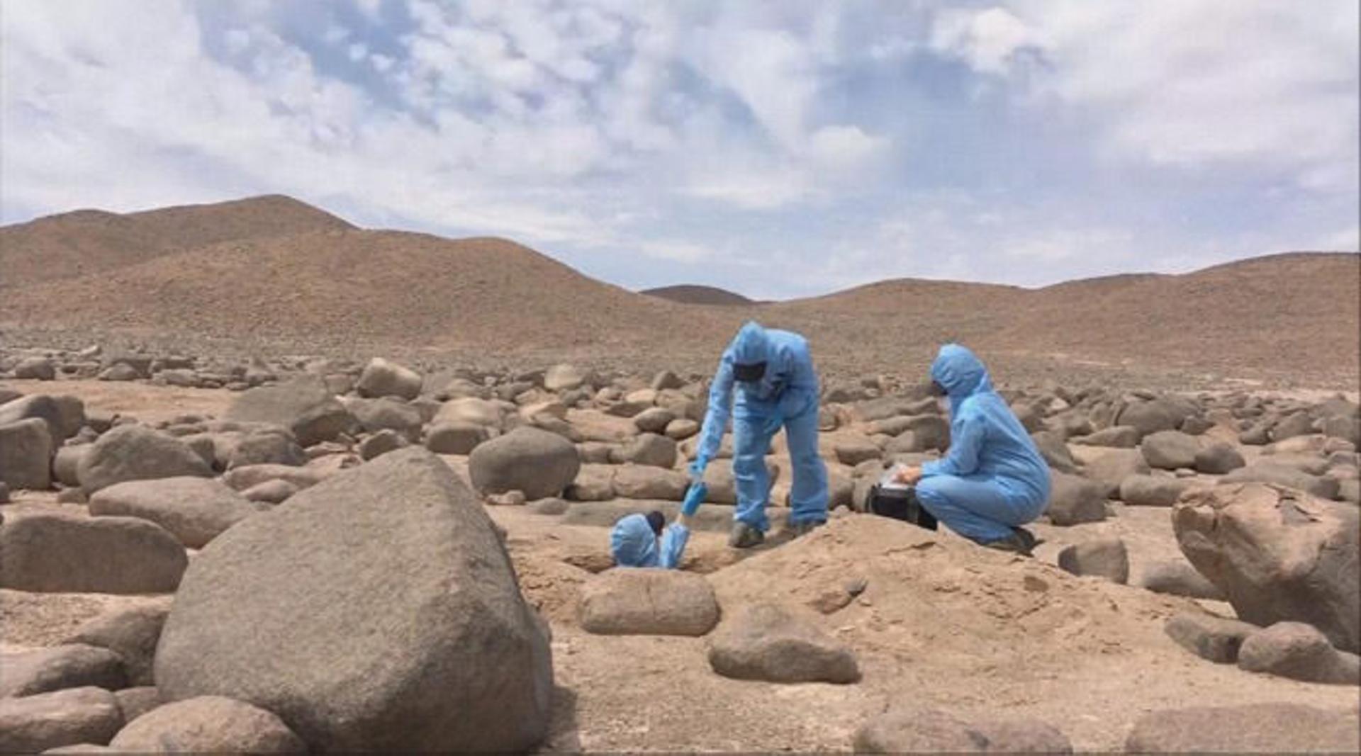 بیابان / desert