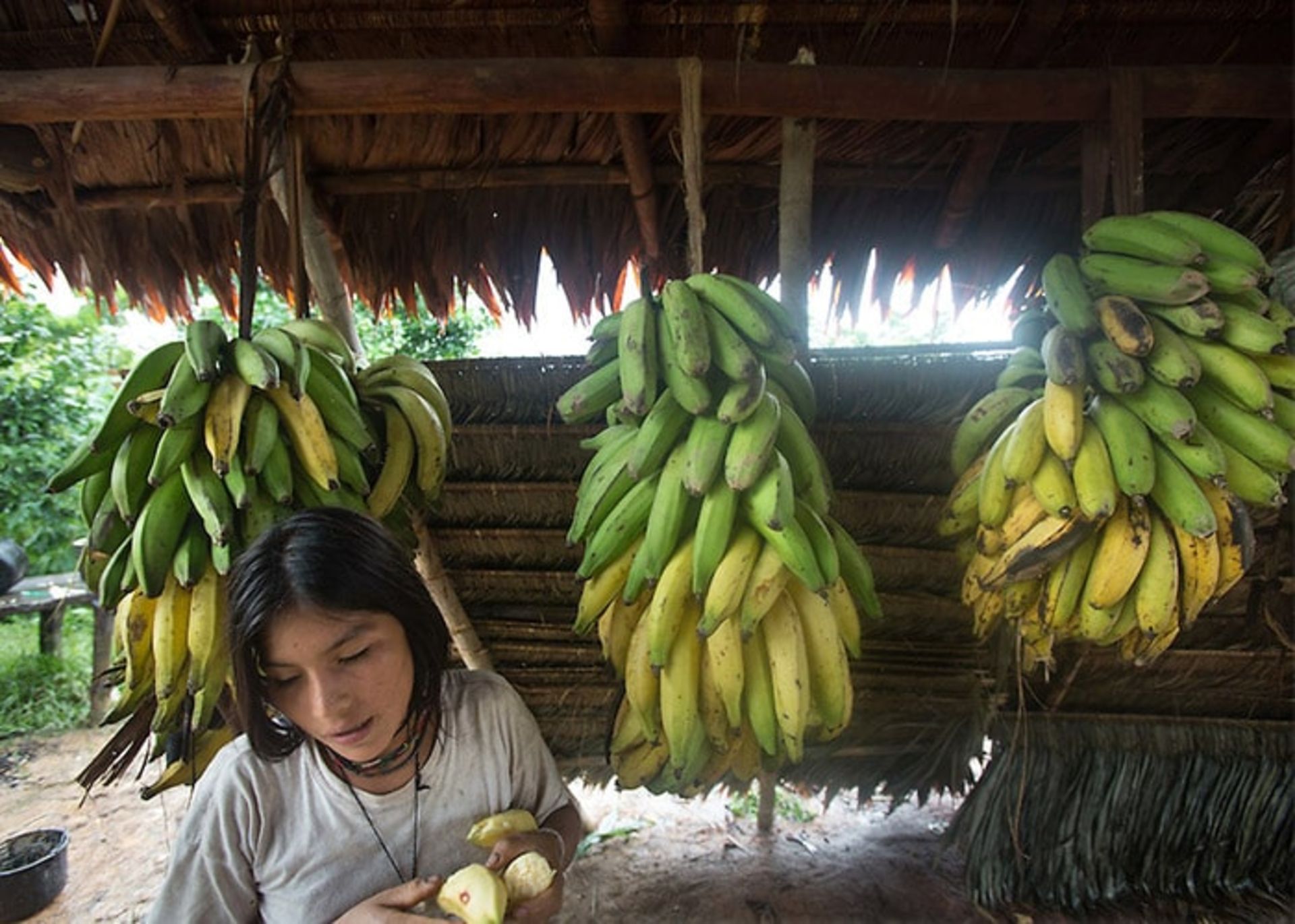 مردم تیسمانی