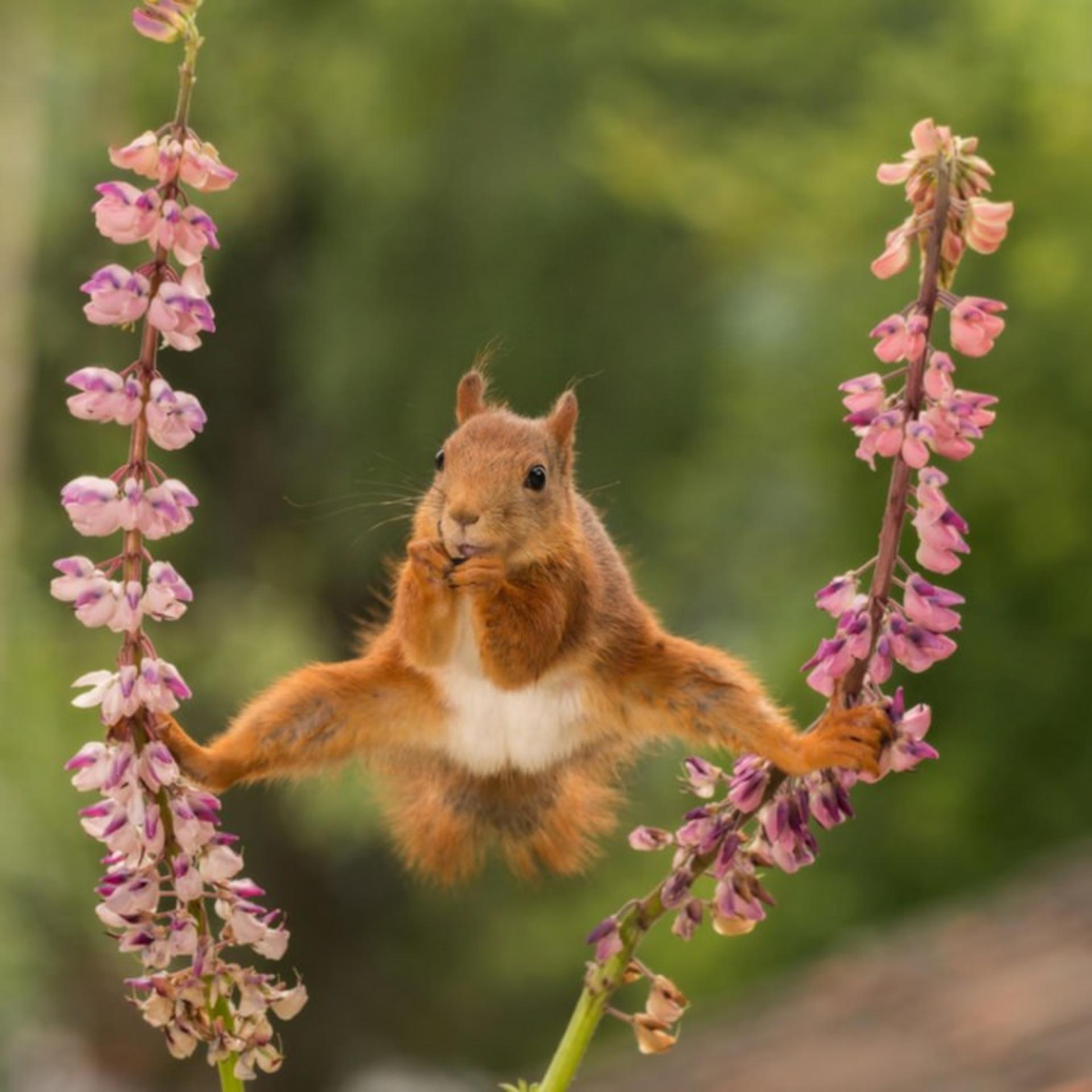 عکاسی حیات وحش / wild life photography