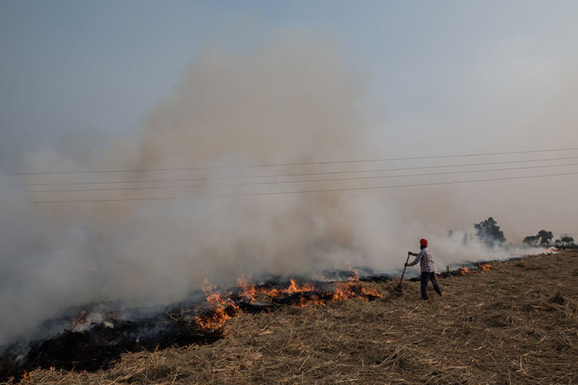 سوزاندن زمین 