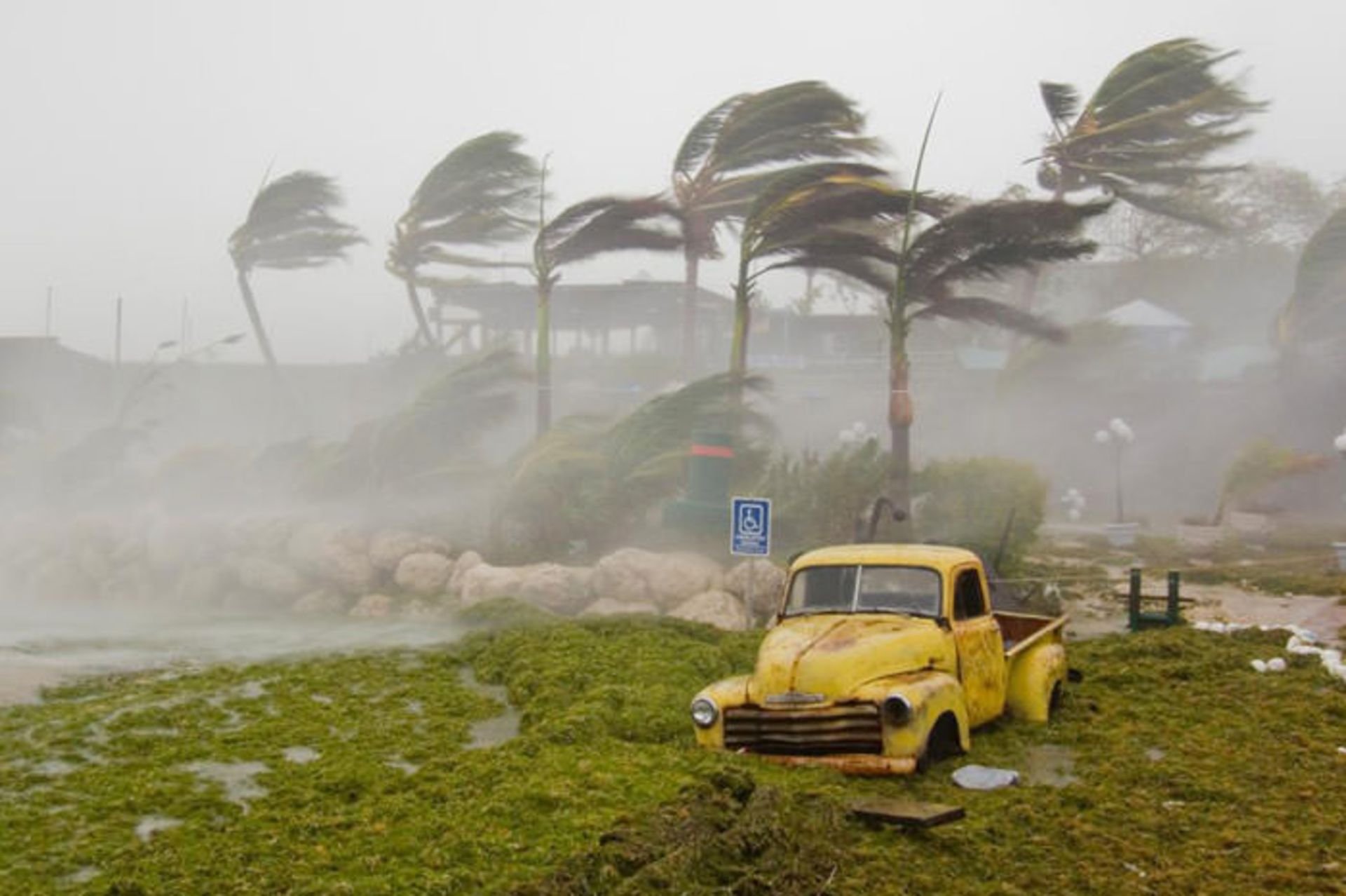 تغییرات اقلیمی / climate change