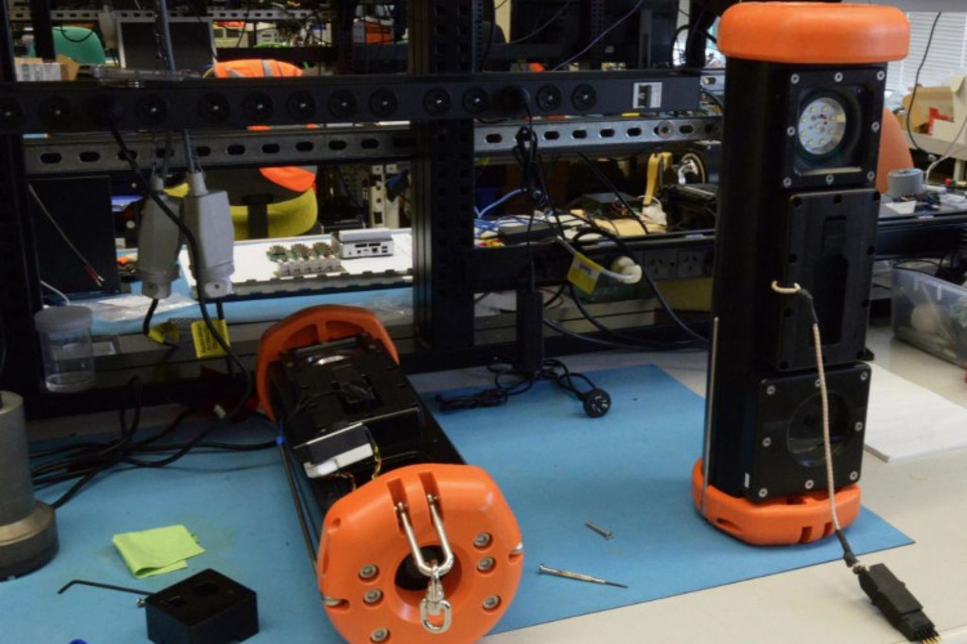 هیولای مرغ بی‌سر