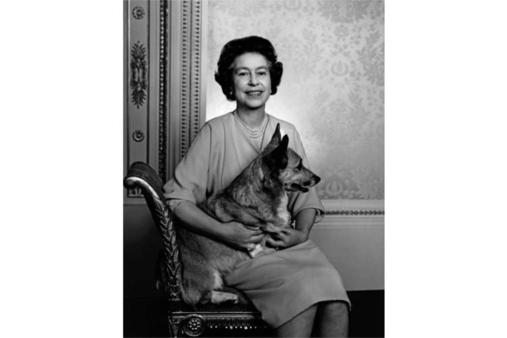 یوسف کارش، عکس پرتره