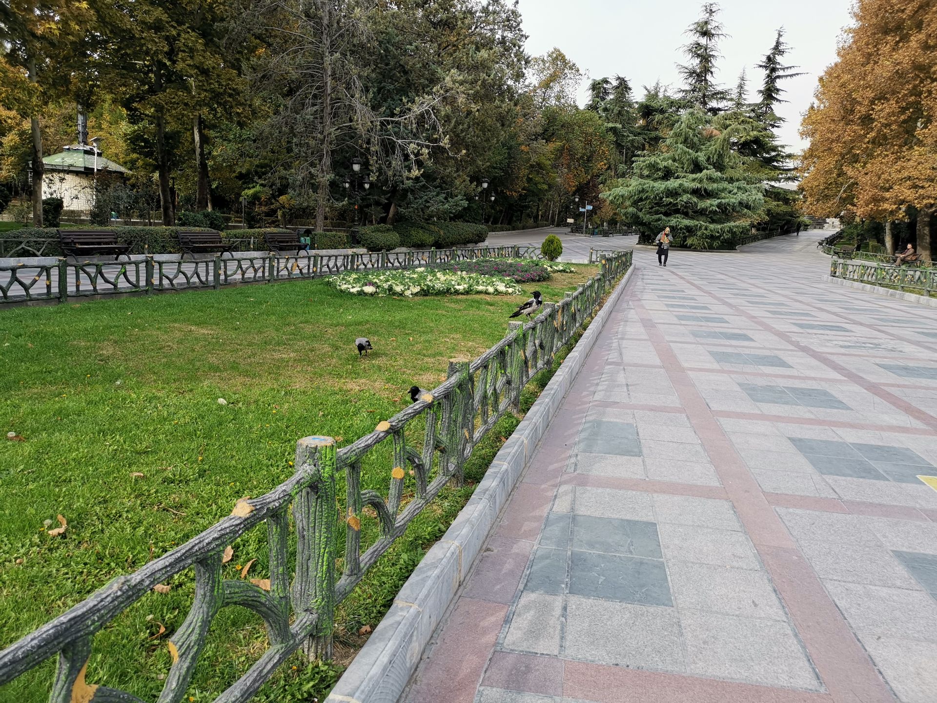 نمونه عکس دوربین میت 20 پرو