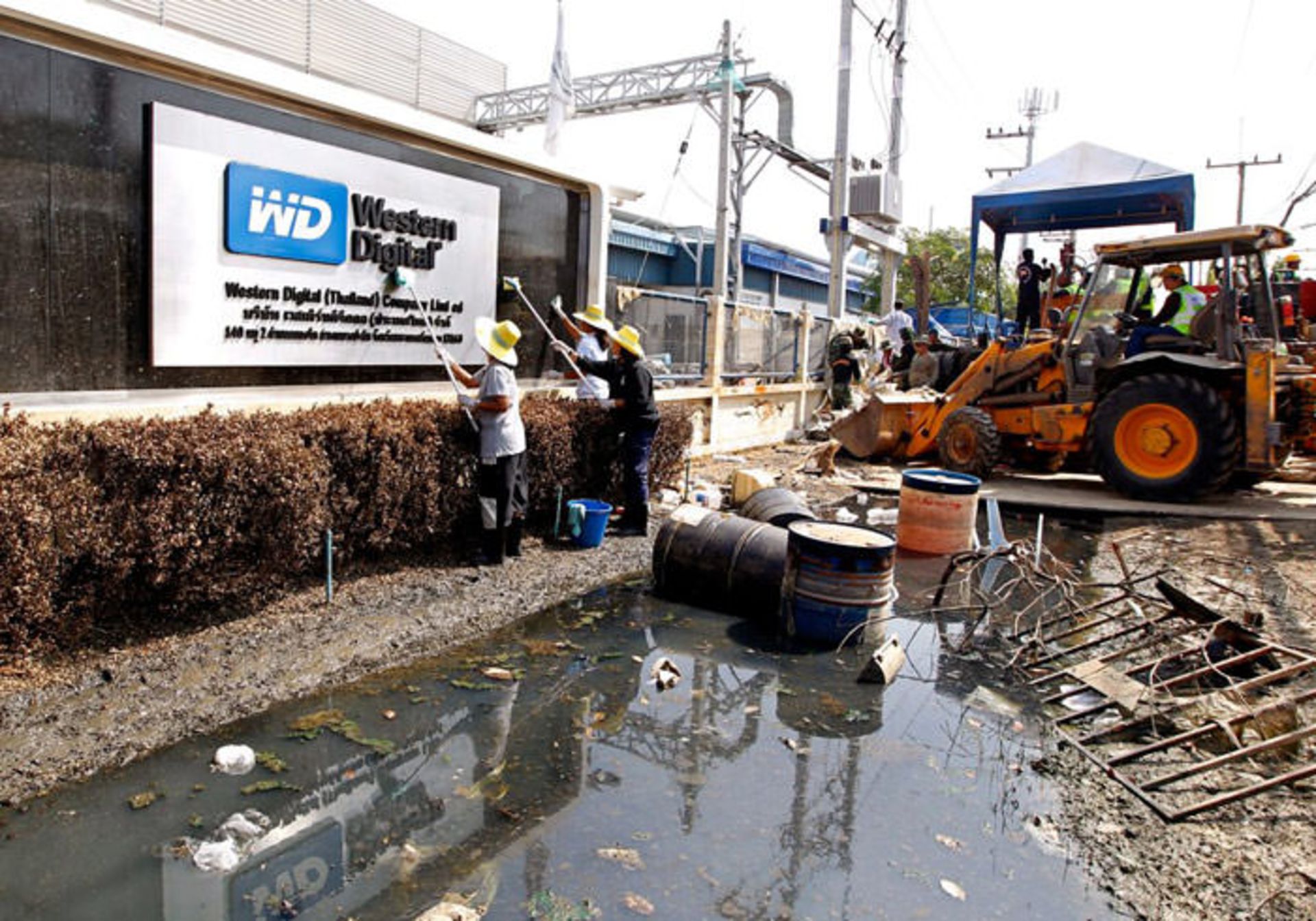 اقلیمی آمریکا / usa climate