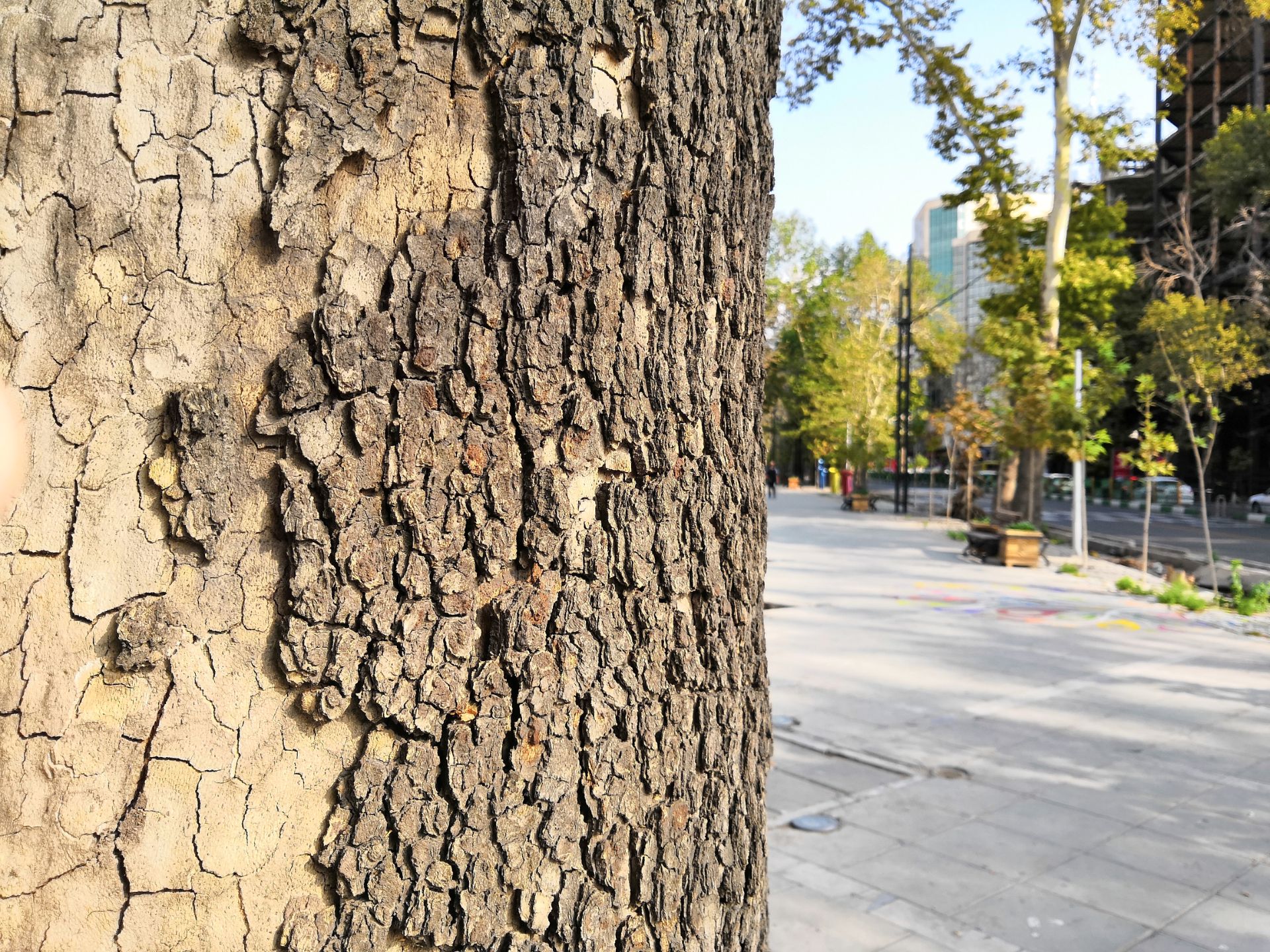 تصاویر نمونه آنر 10