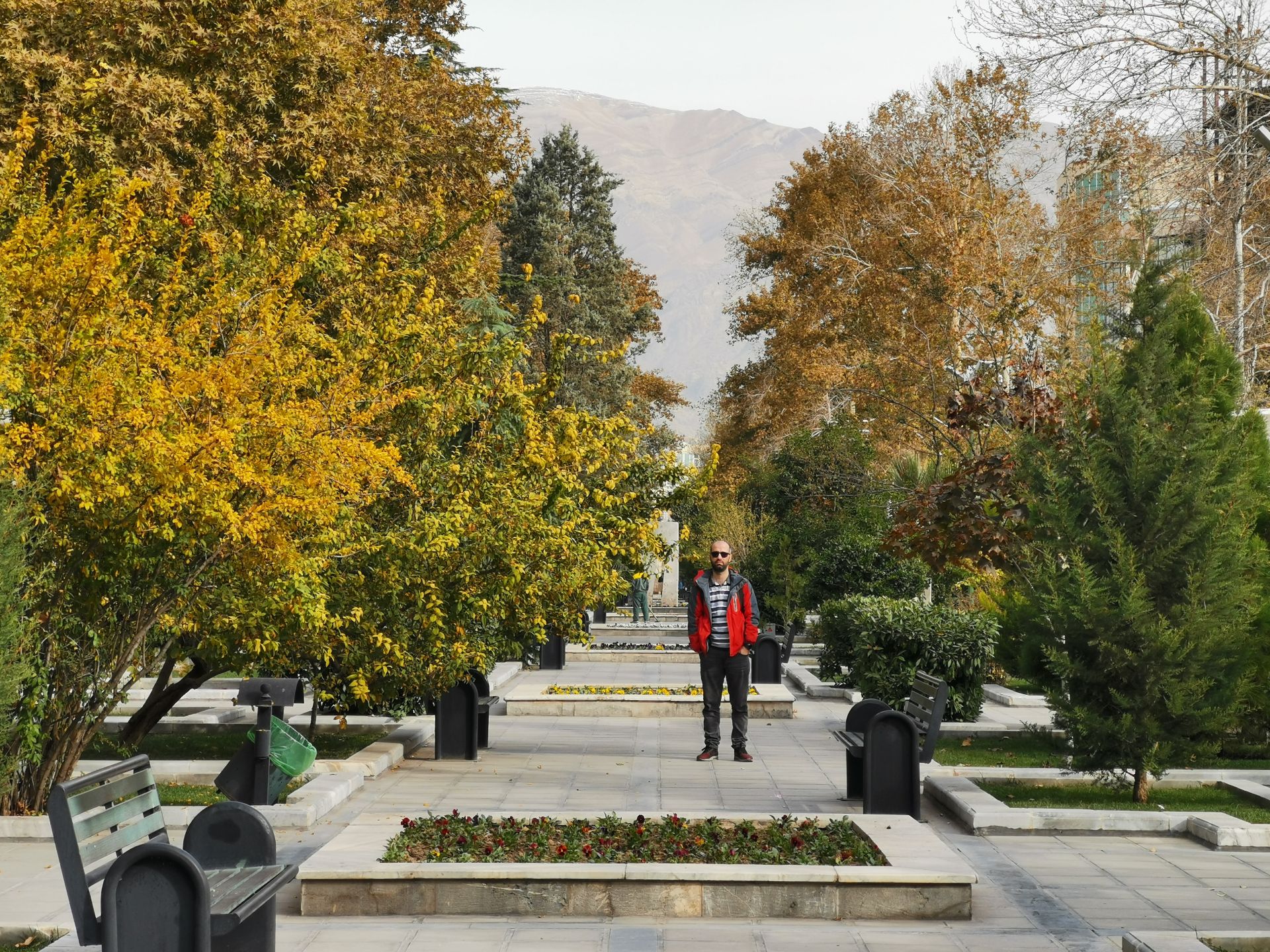 نمونه عکس دوربین میت 20 پرو