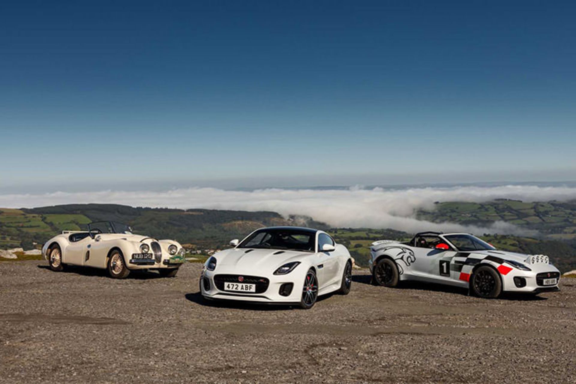 Jaguar F-Type Convertible Rally / جگوار اف تایپ کانورتیبل رالی