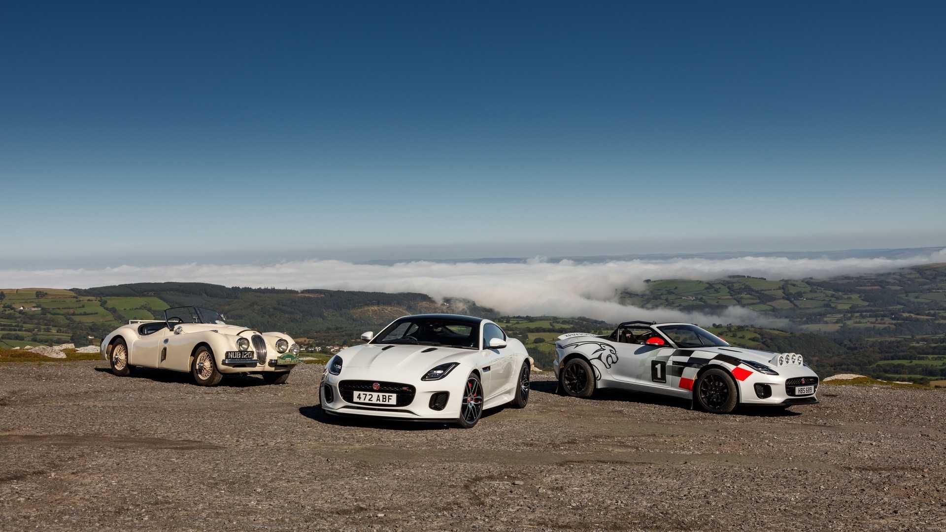 Jaguar F-Type Convertible Rally / جگوار اف تایپ کانورتیبل رالی