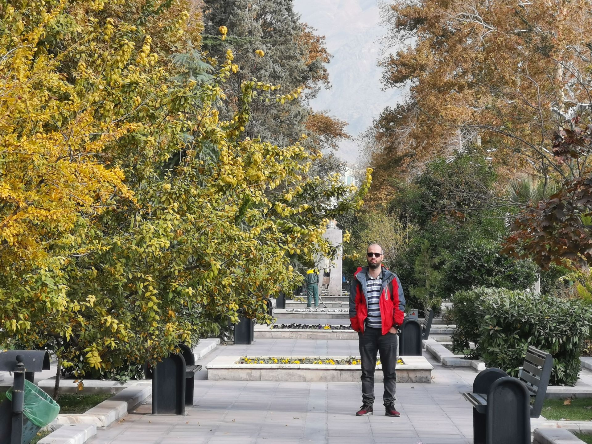 نمونه عکس دوربین میت 20 پرو