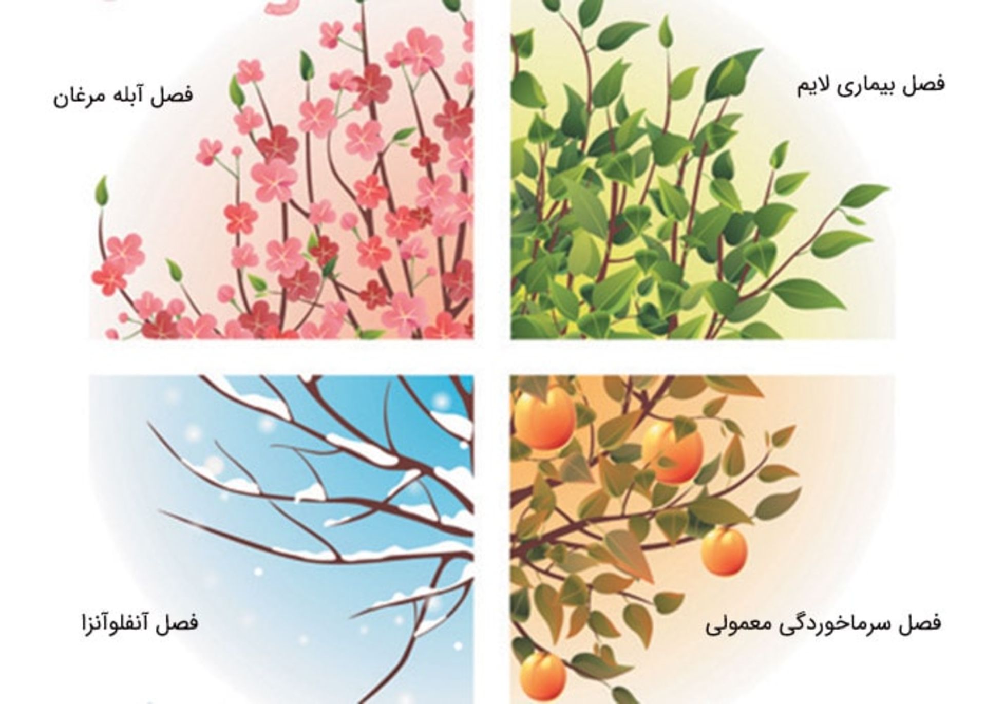 بیماریهای عفونی فصلی اند