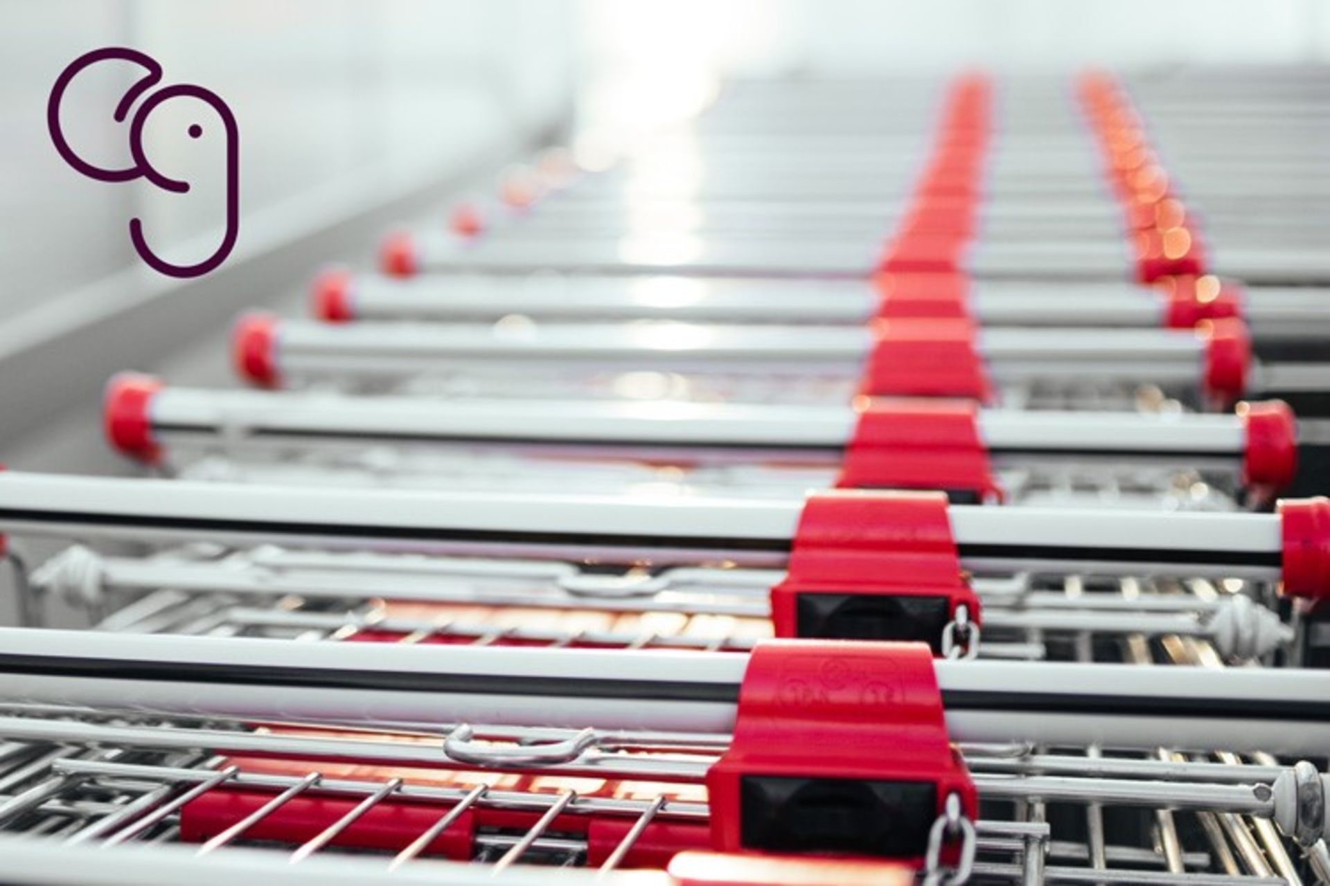 چه محصولاتی را در بلک فرایدی بخریم؟