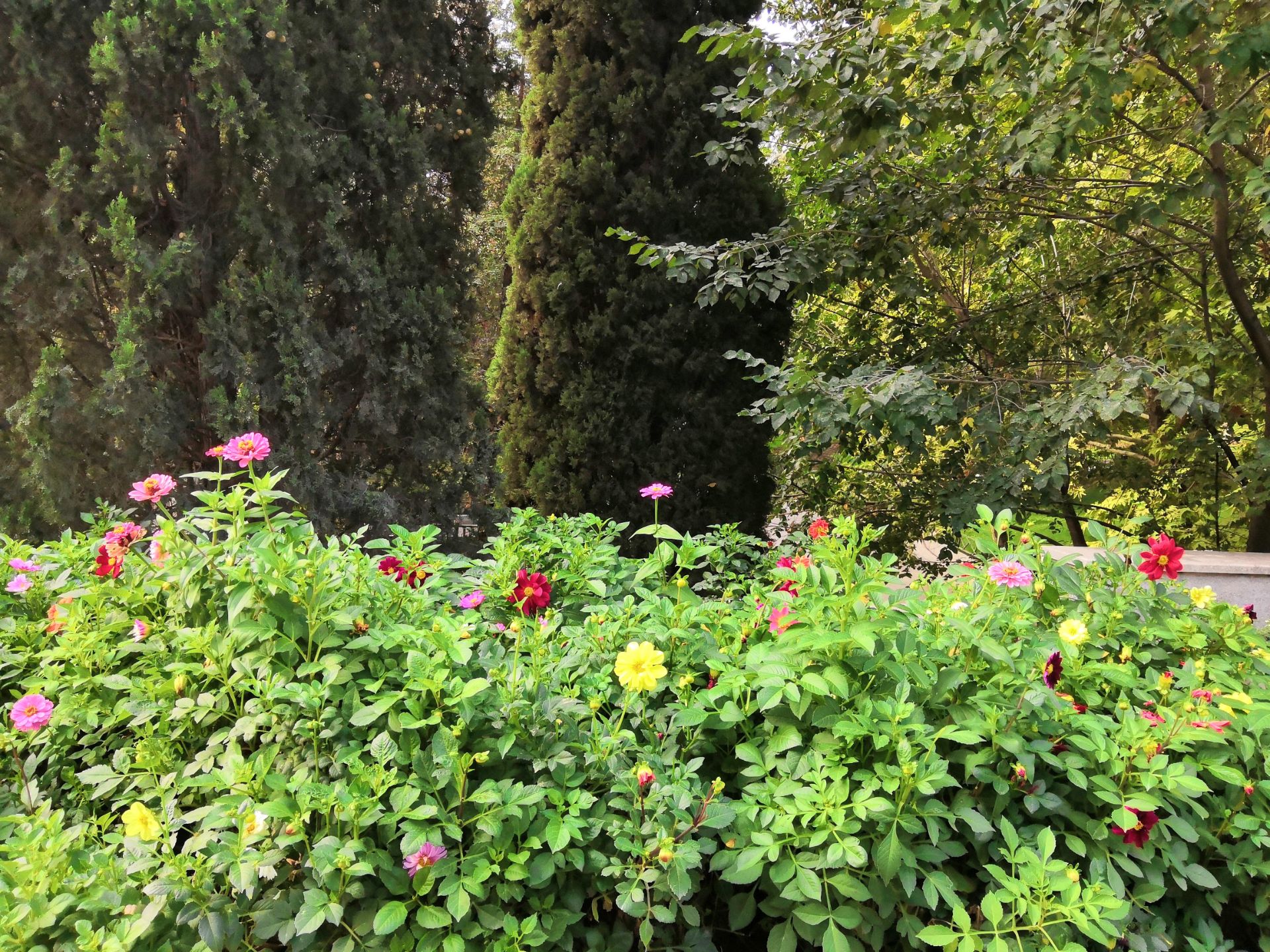 تصاویر نمونه آنر 10