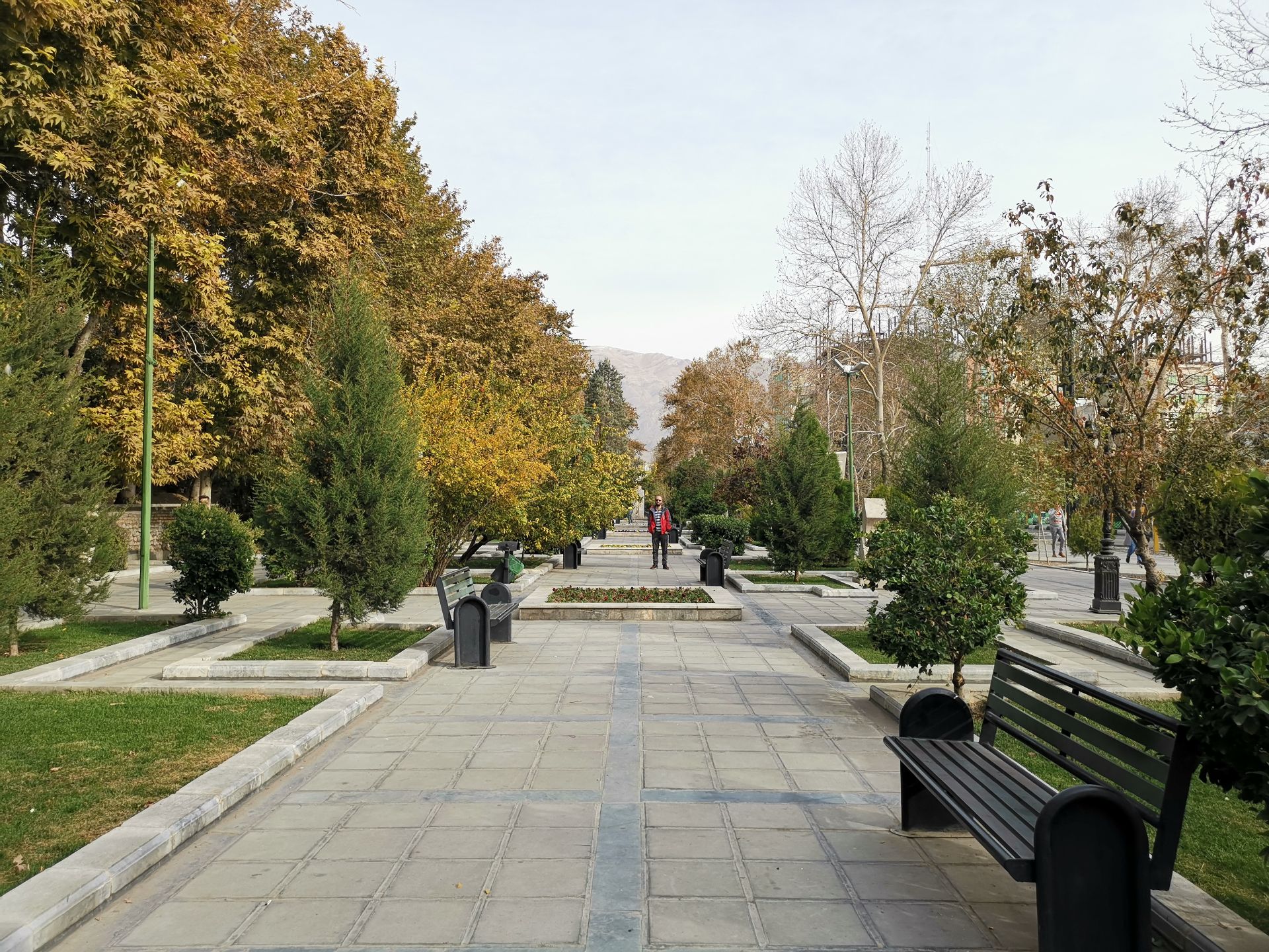 نمونه عکس دوربین میت 20 پرو