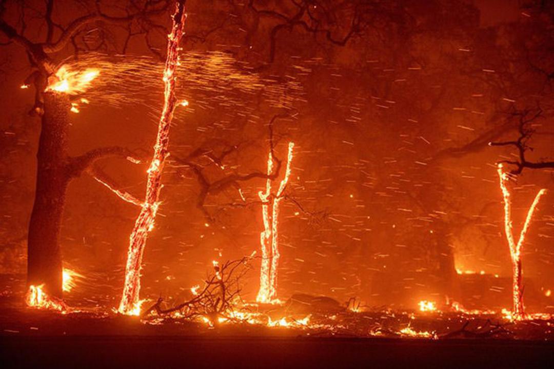 اقلیمی آمریکا / usa climate