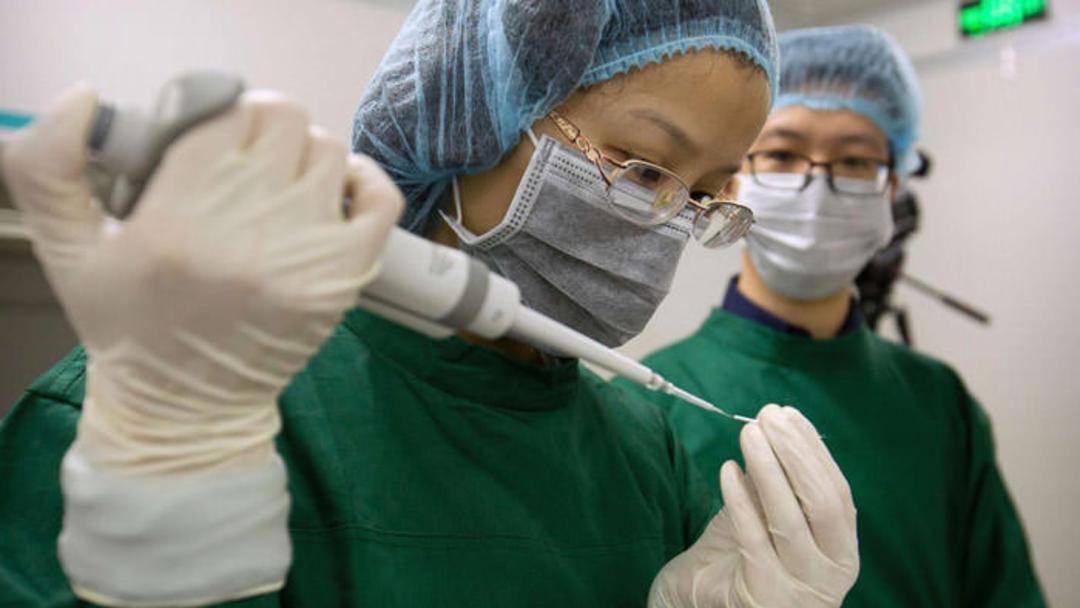 اصلاح ژنتیکی / Genetic editing
