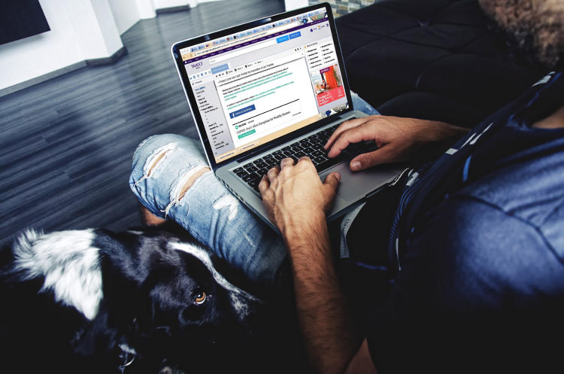 فریلنسر / Freelancer