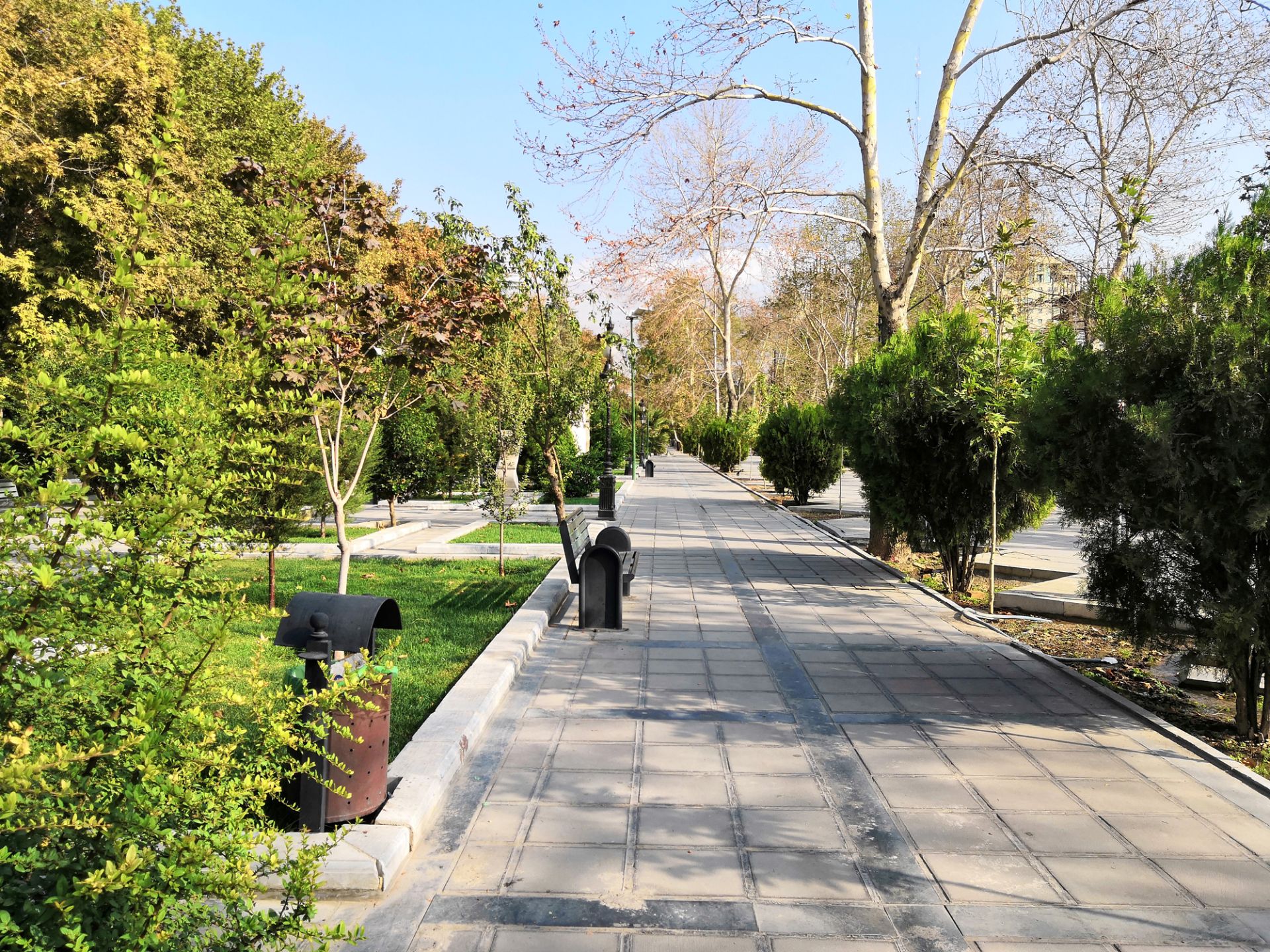 تصاویر نمونه آنر 10