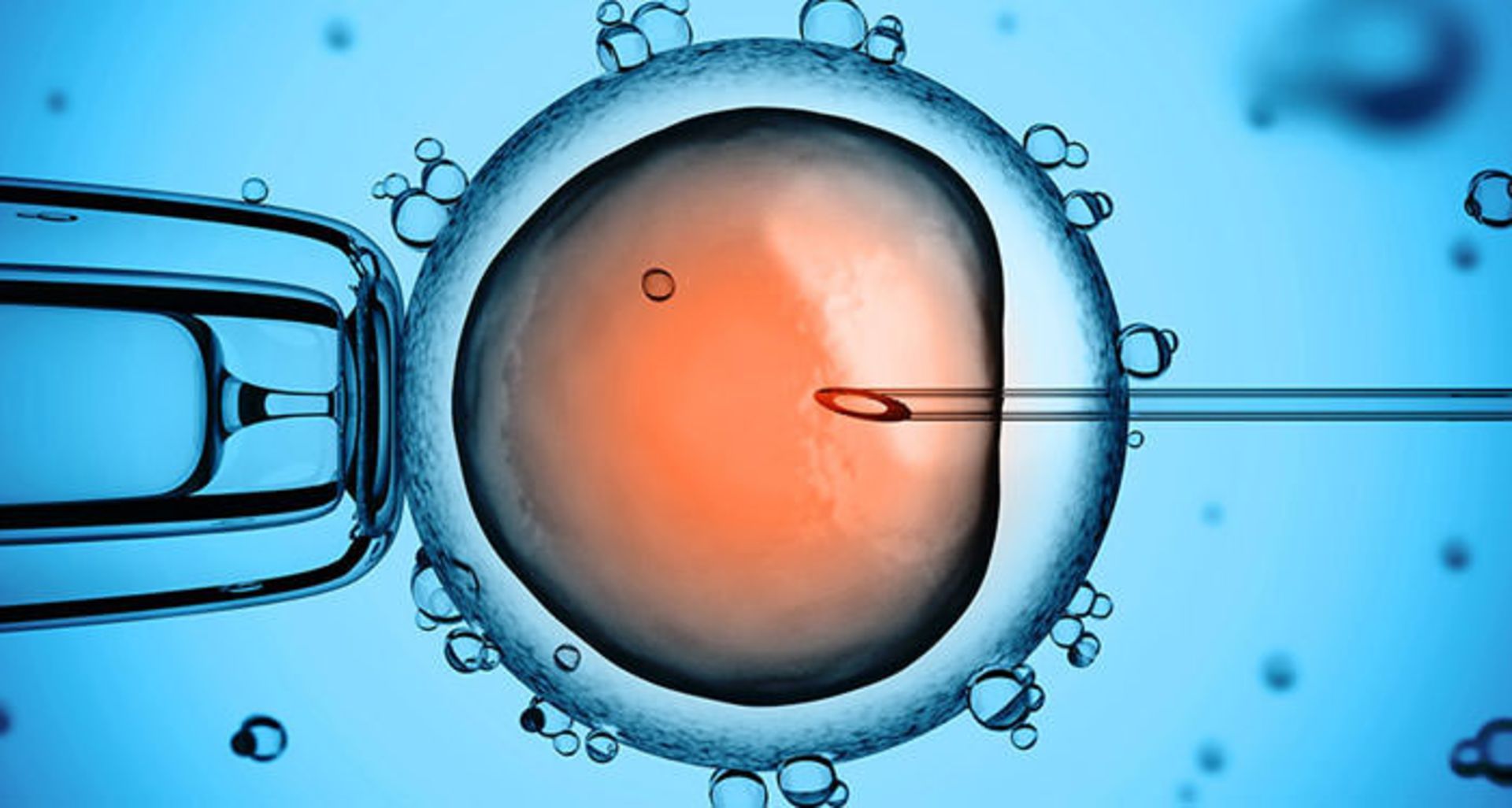 اصلاح ژنتیکی / Genetic editing