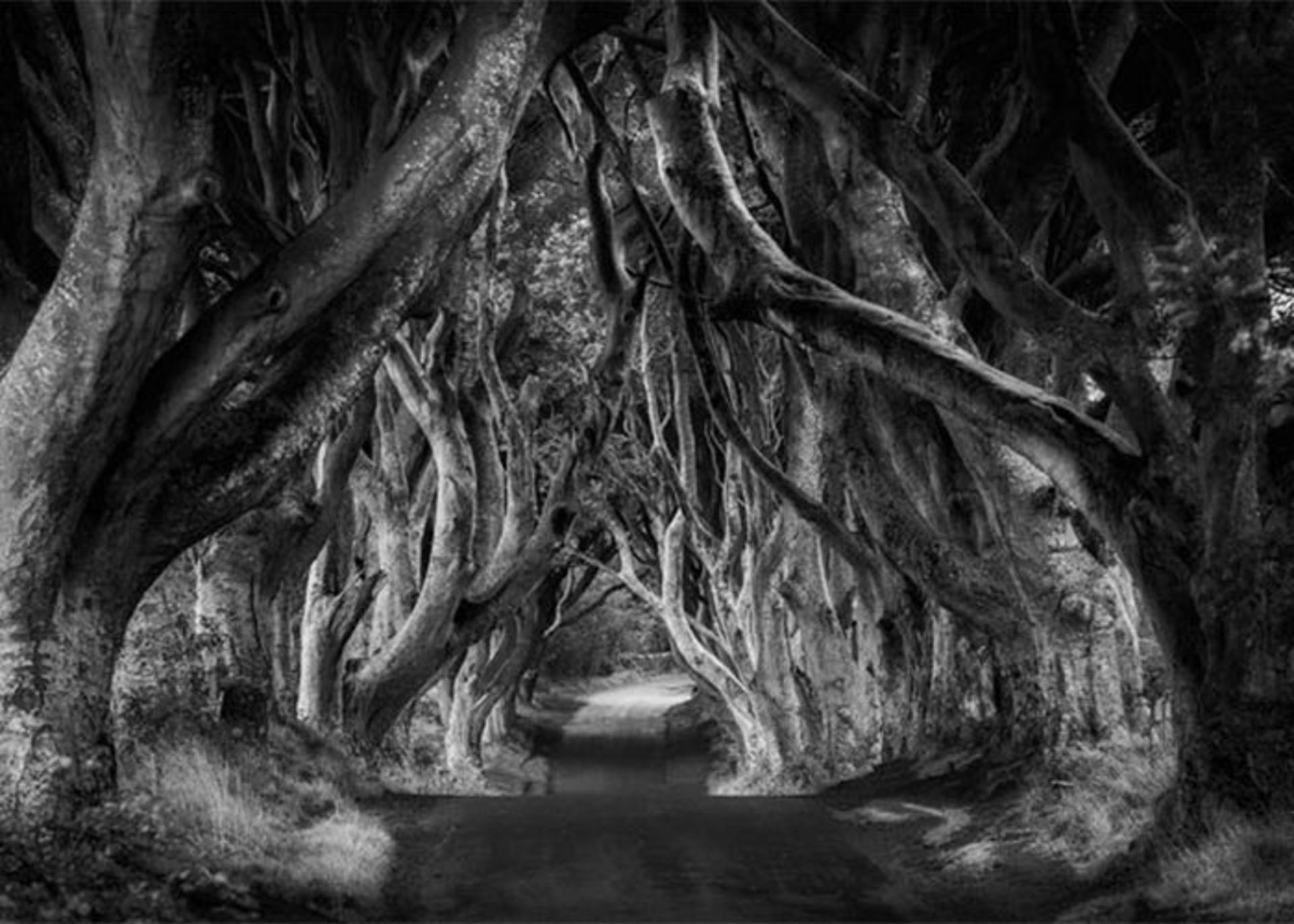 عکاسی سیاه و سفید (Black-and-white photography)