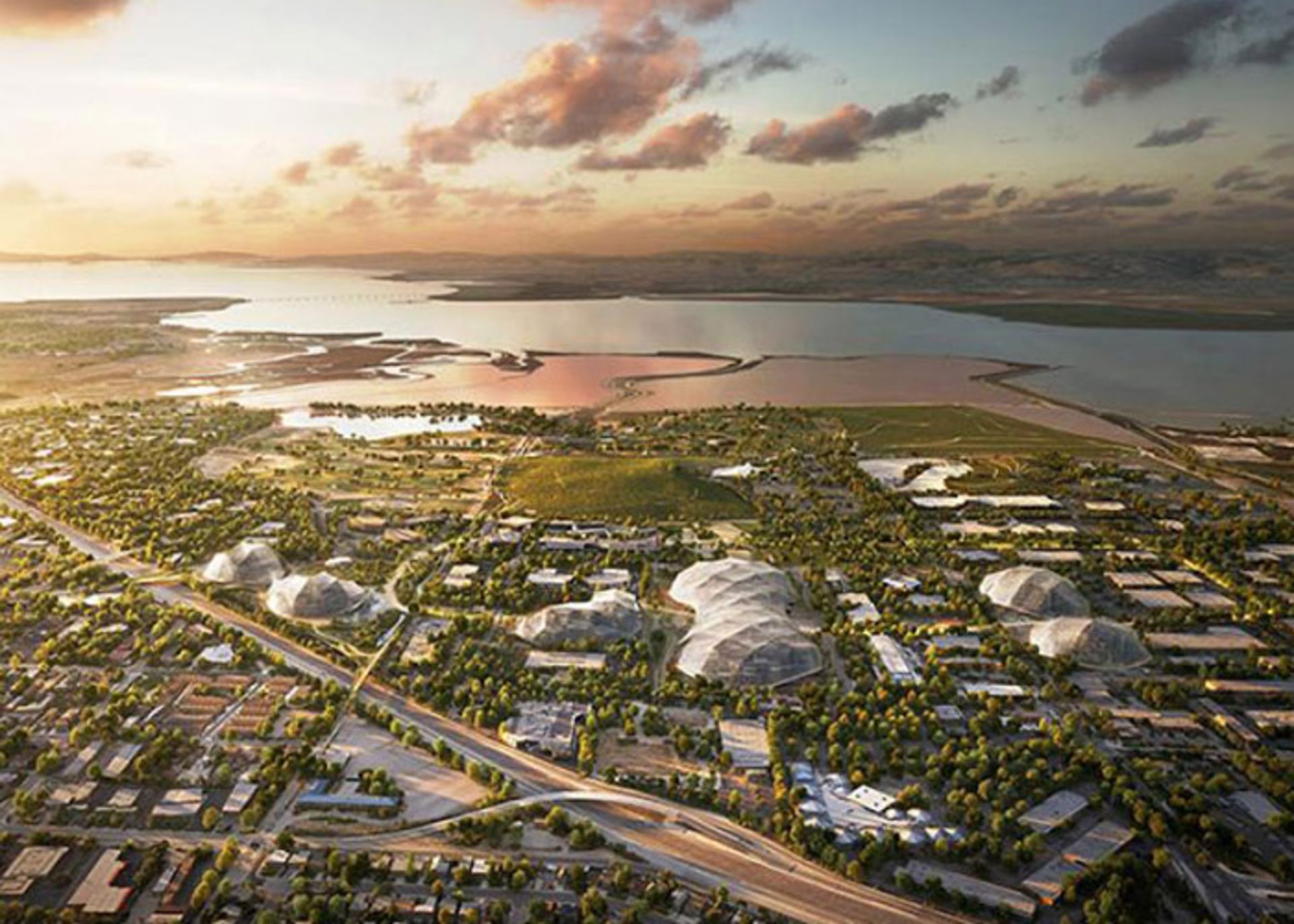 سیلیکون ولی