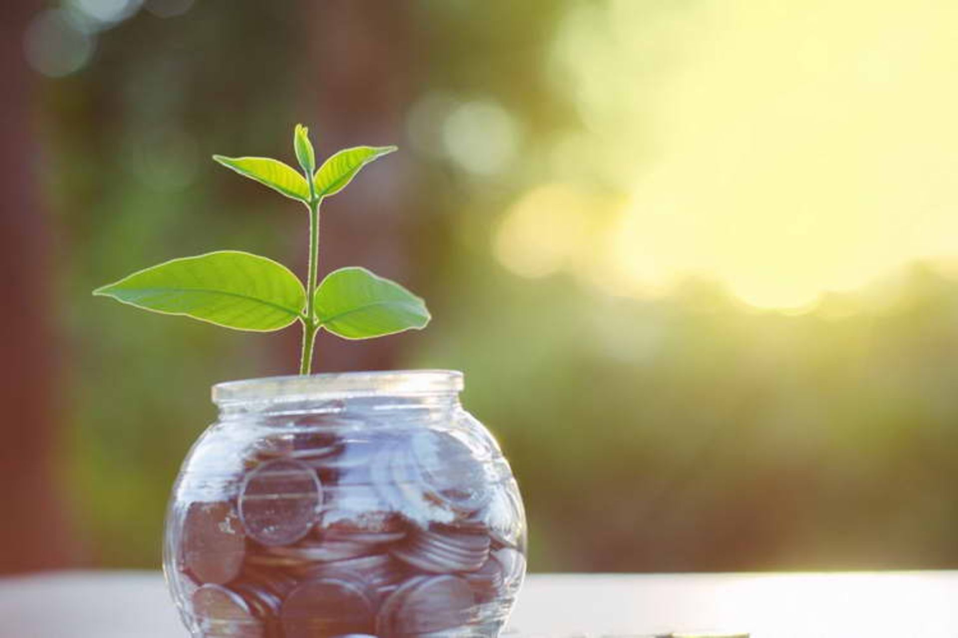 Bootstrapping benefits