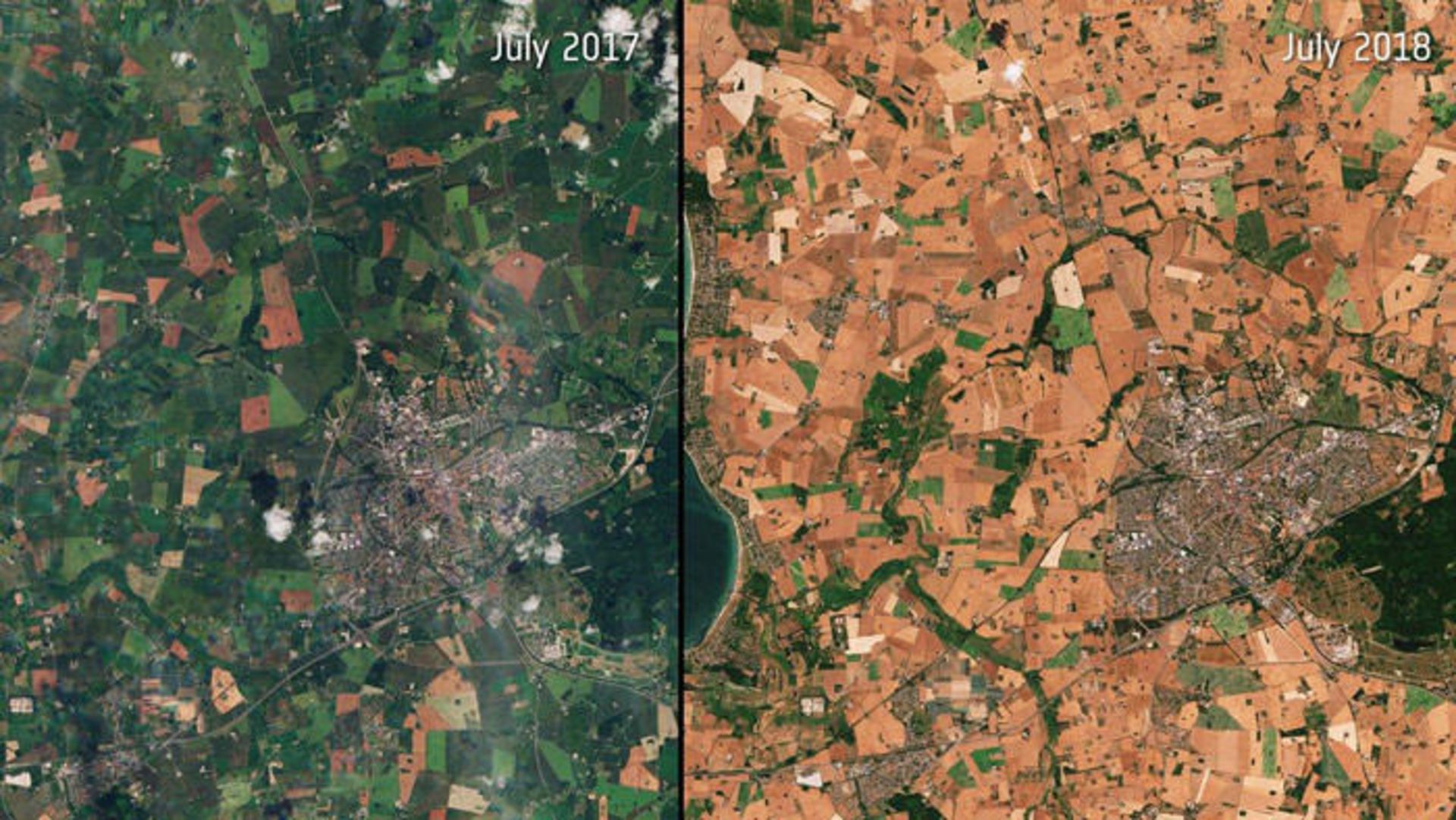 خشکسالی / drought