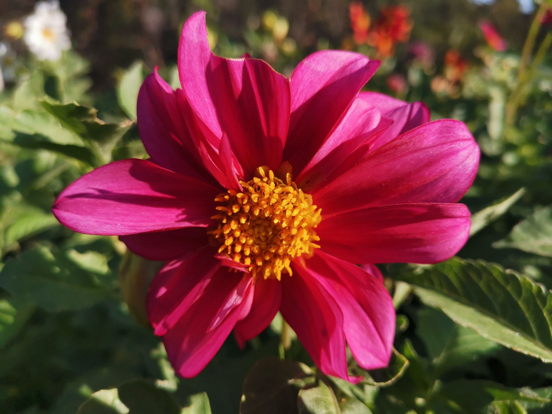 نمونه عکس میت ۲۰ در طول روز