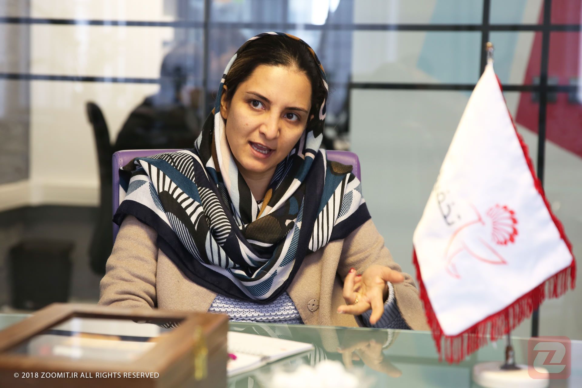 نازنین دانشور - تخفیفان